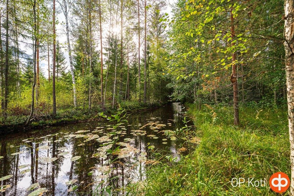 Kohdekuva 19