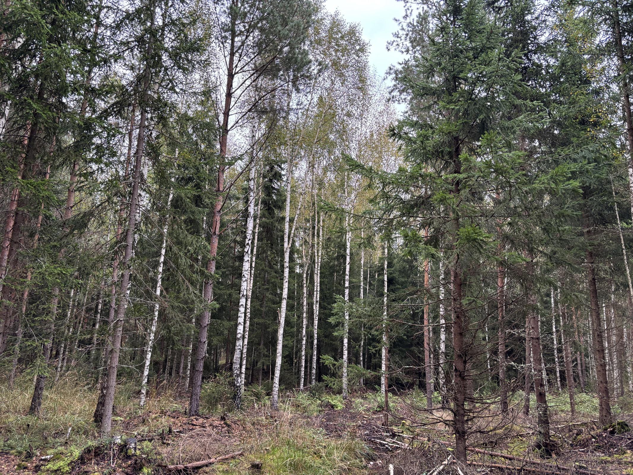 Kohdekuva 1