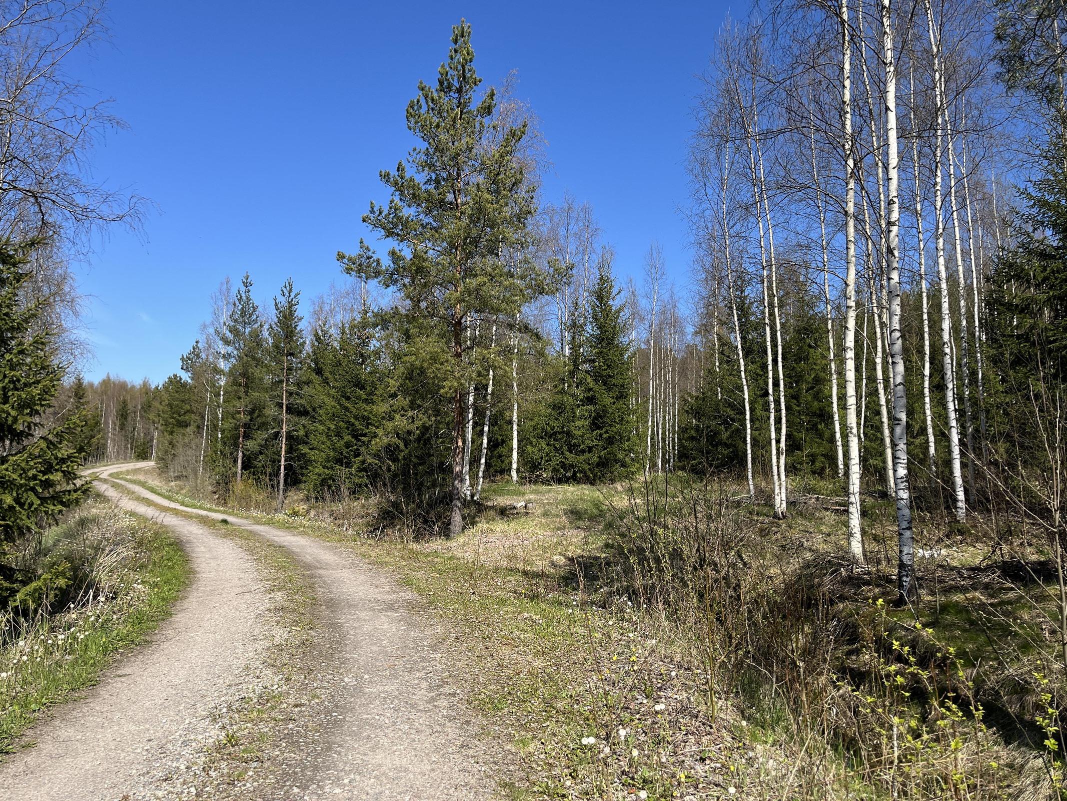 Kohdekuva 18