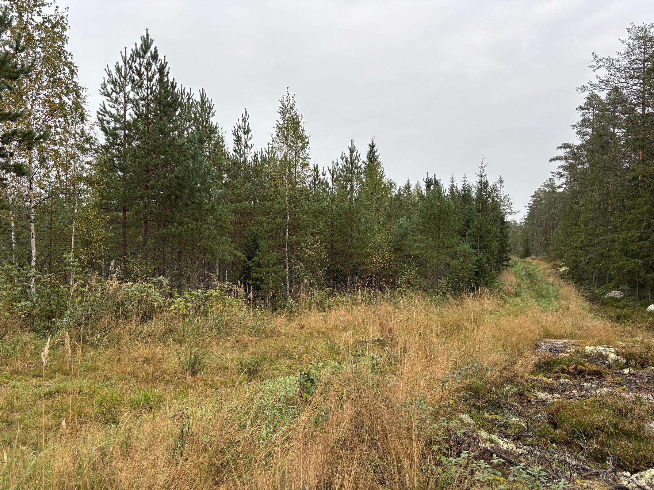 Kohdekuva 8