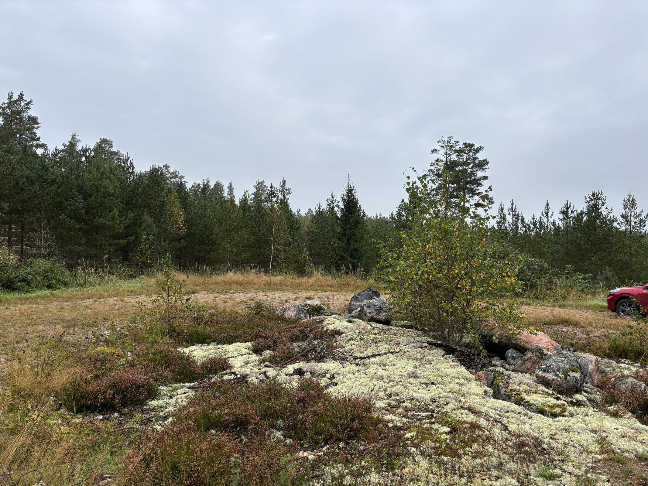 Kohdekuva 7