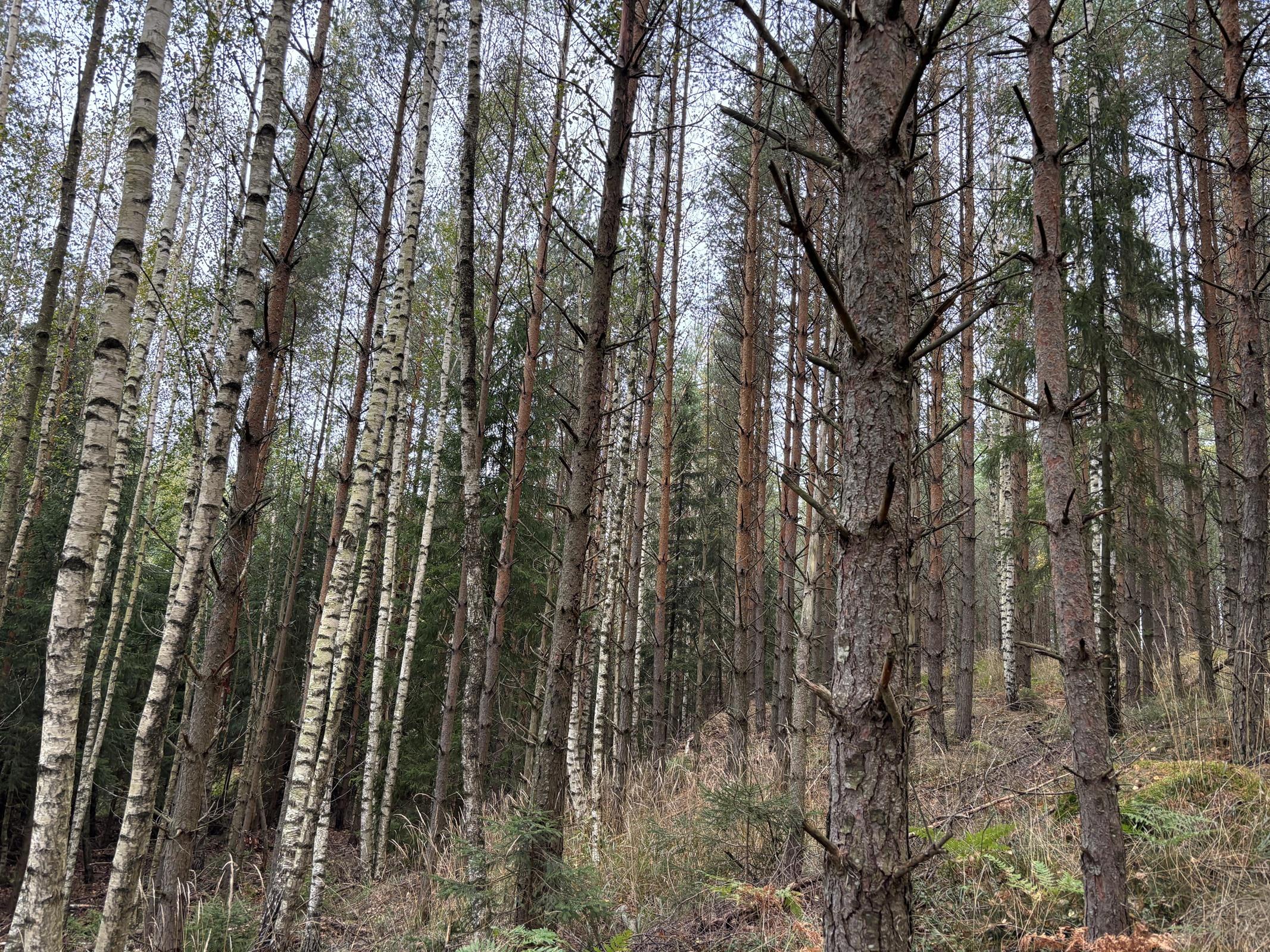 Kohdekuva 9