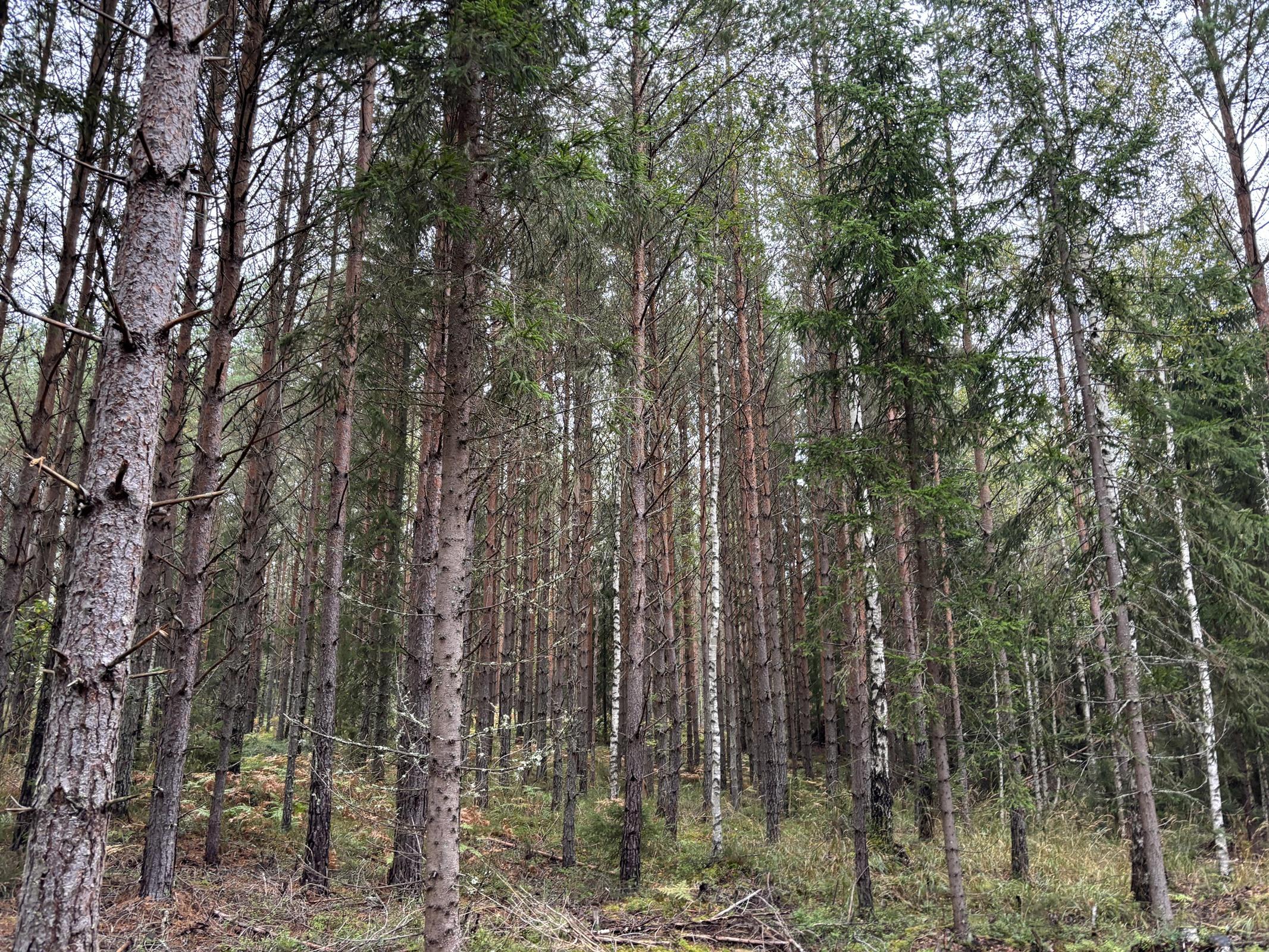 Kohdekuva 4