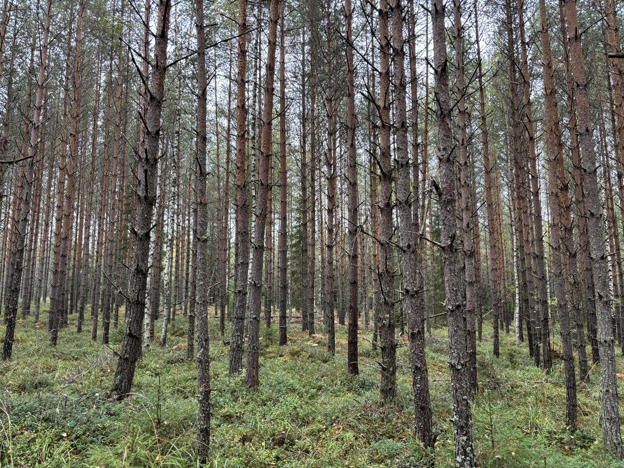 Kohdekuva 2