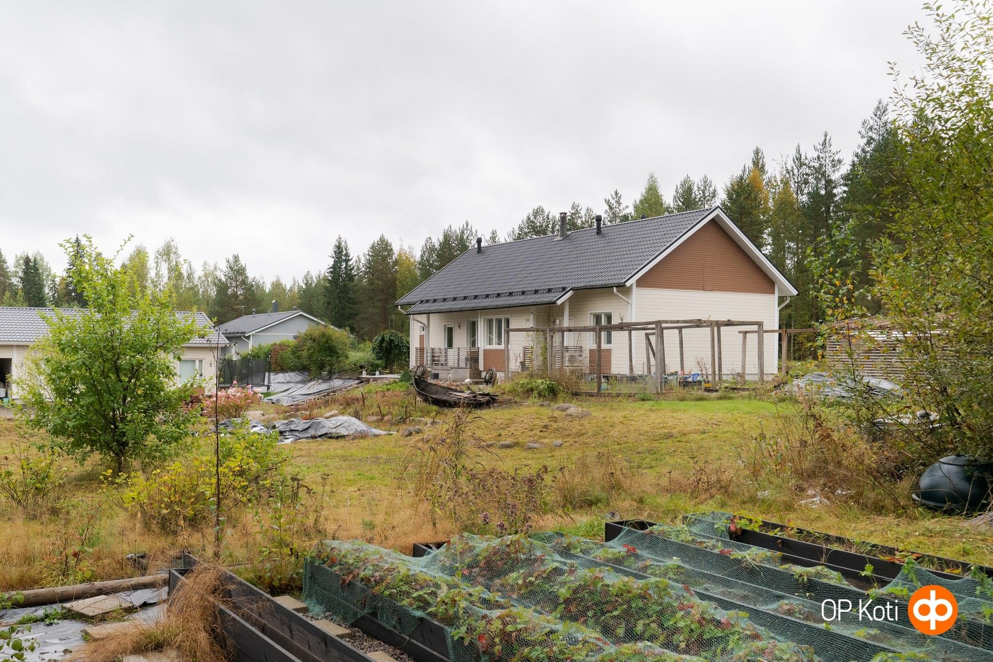 Kohdekuva 46