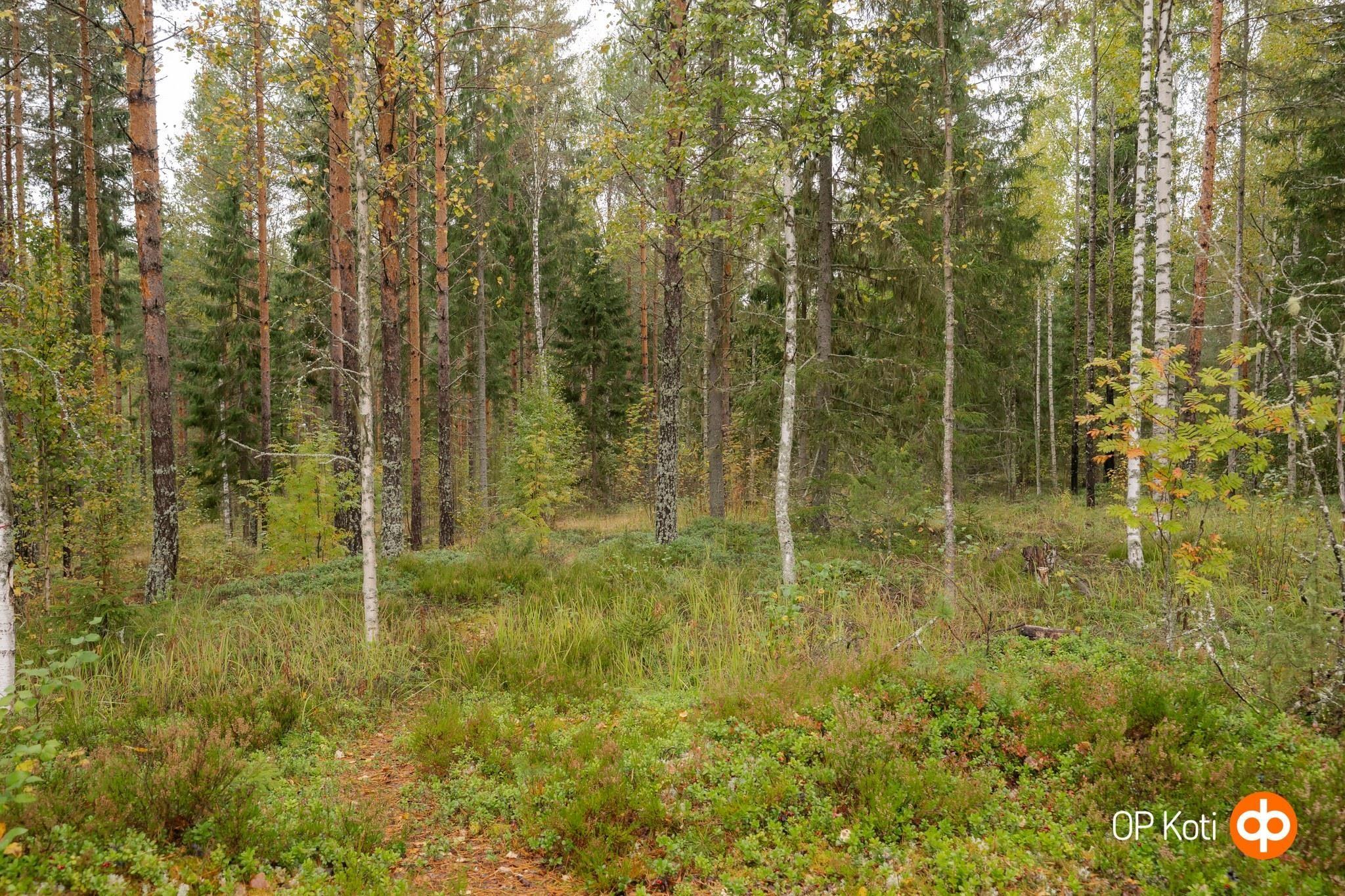 Kohdekuva 33