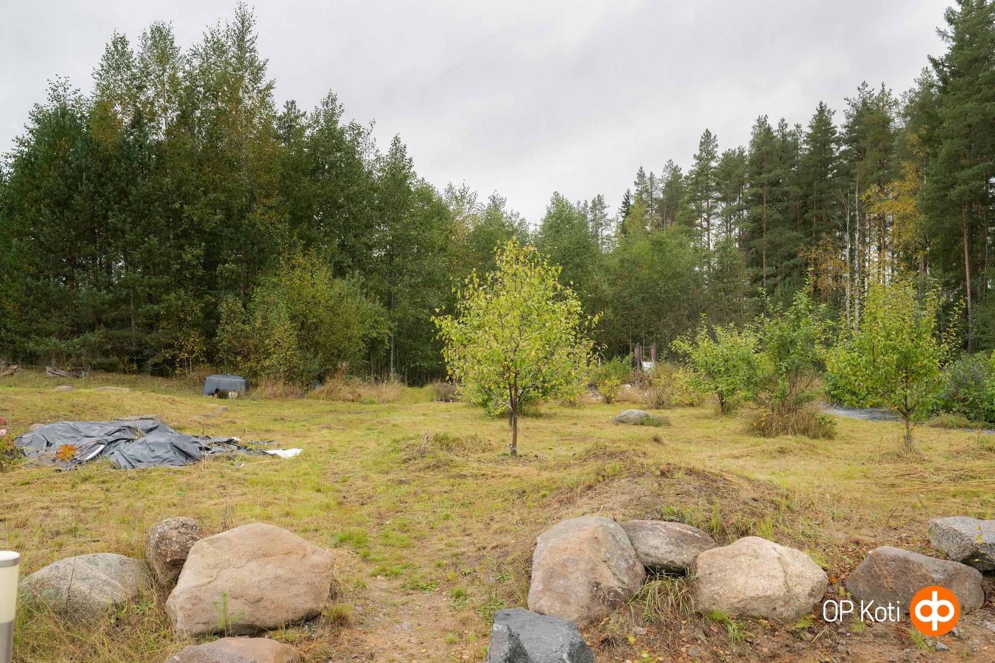 Kohdekuva 38