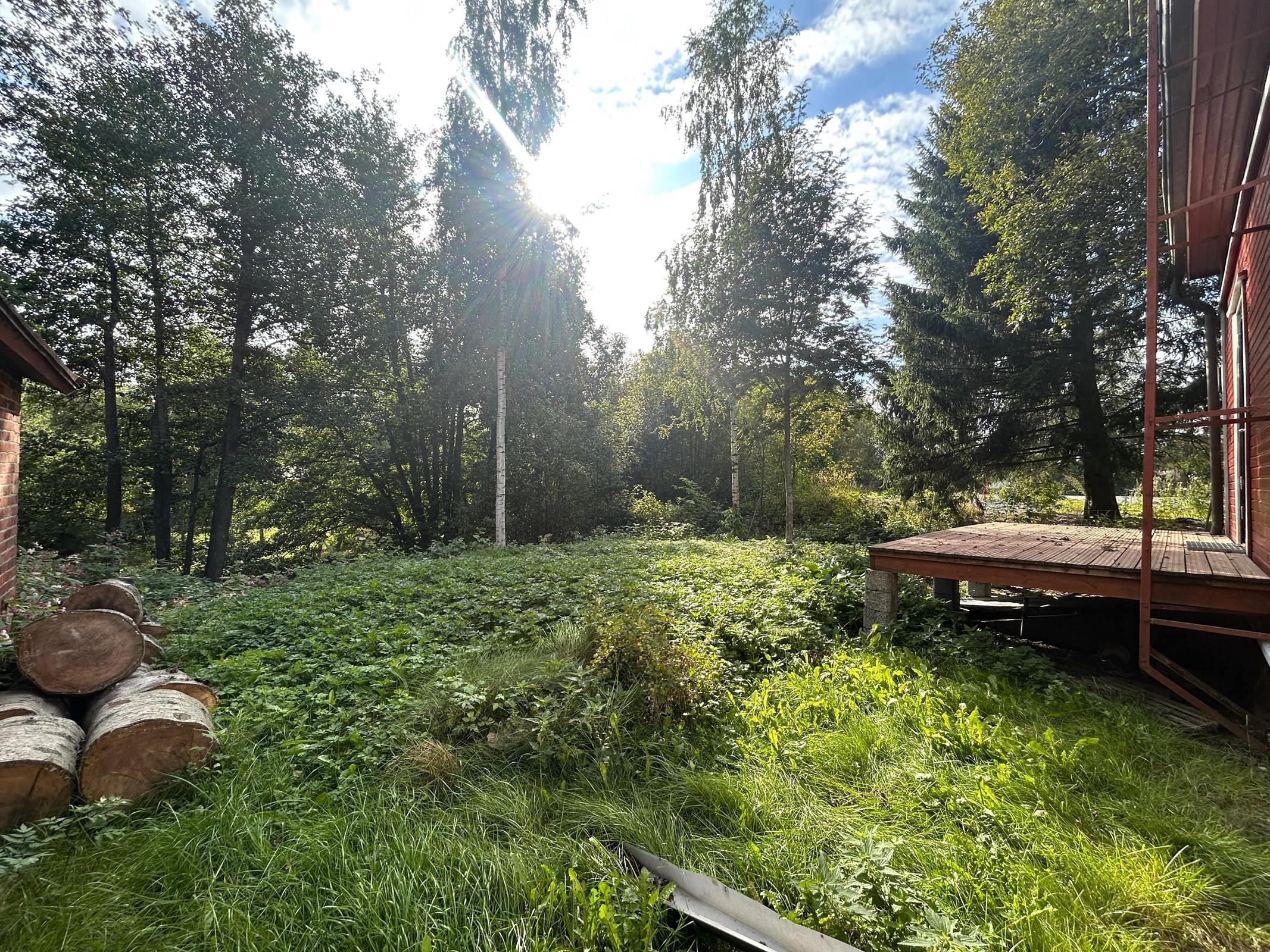 Takapihaa