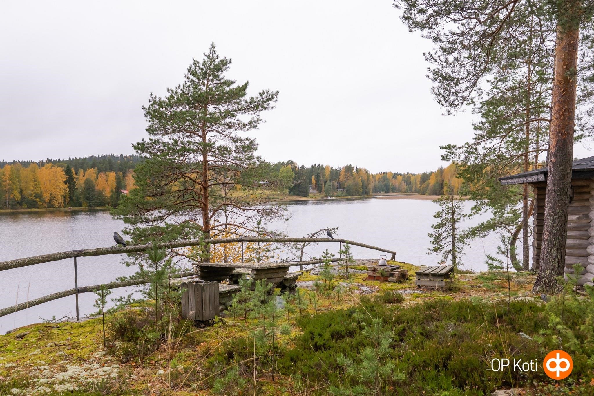 Kohdekuva 36