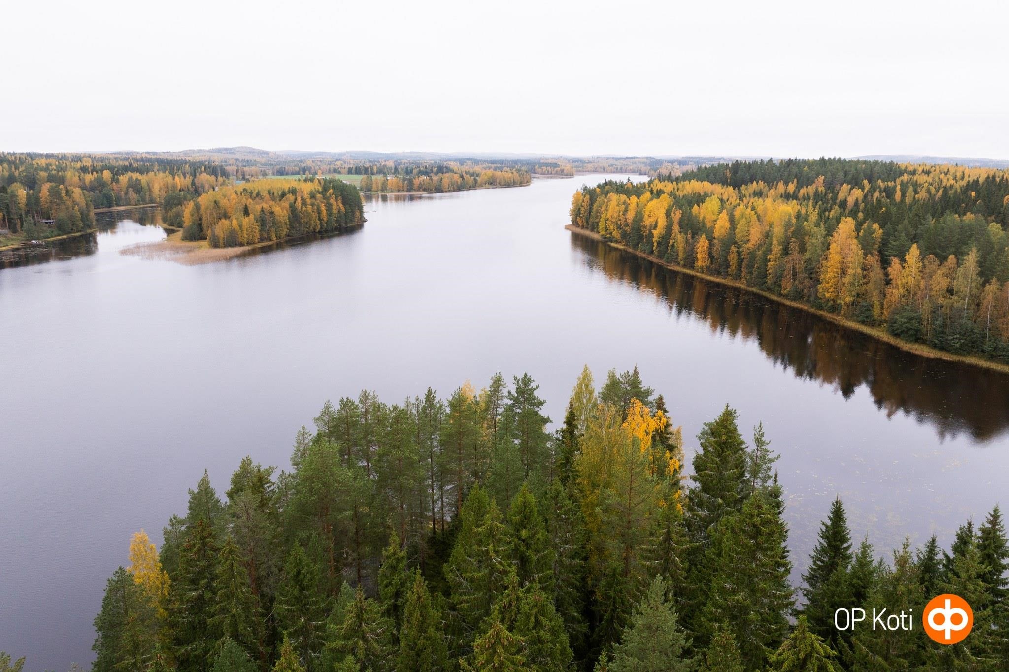 Kohdekuva 40