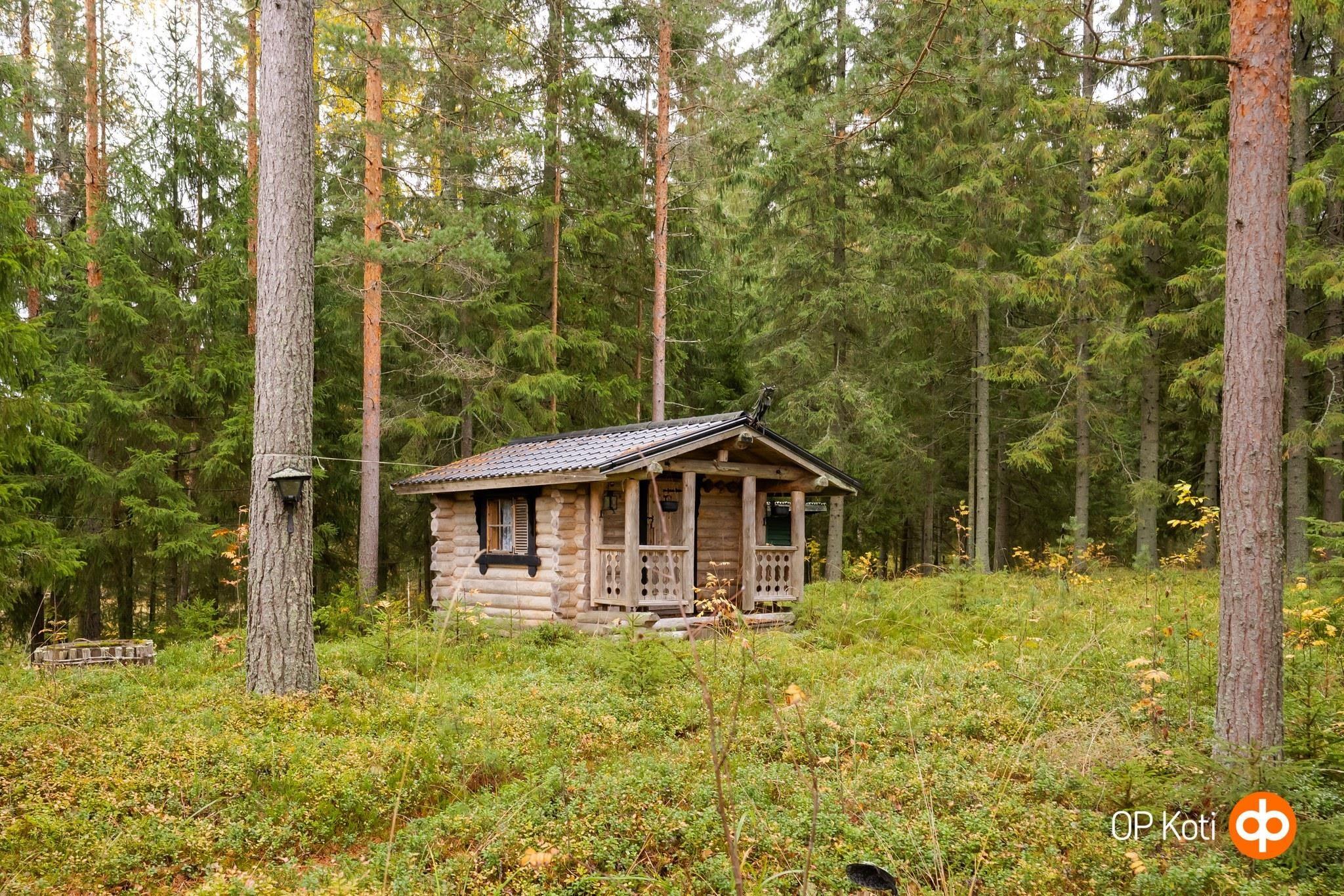 Kohdekuva 31