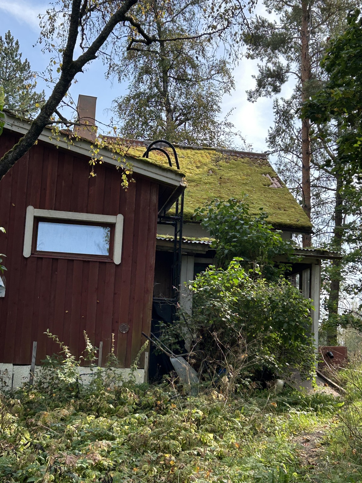 Kohdekuva 17