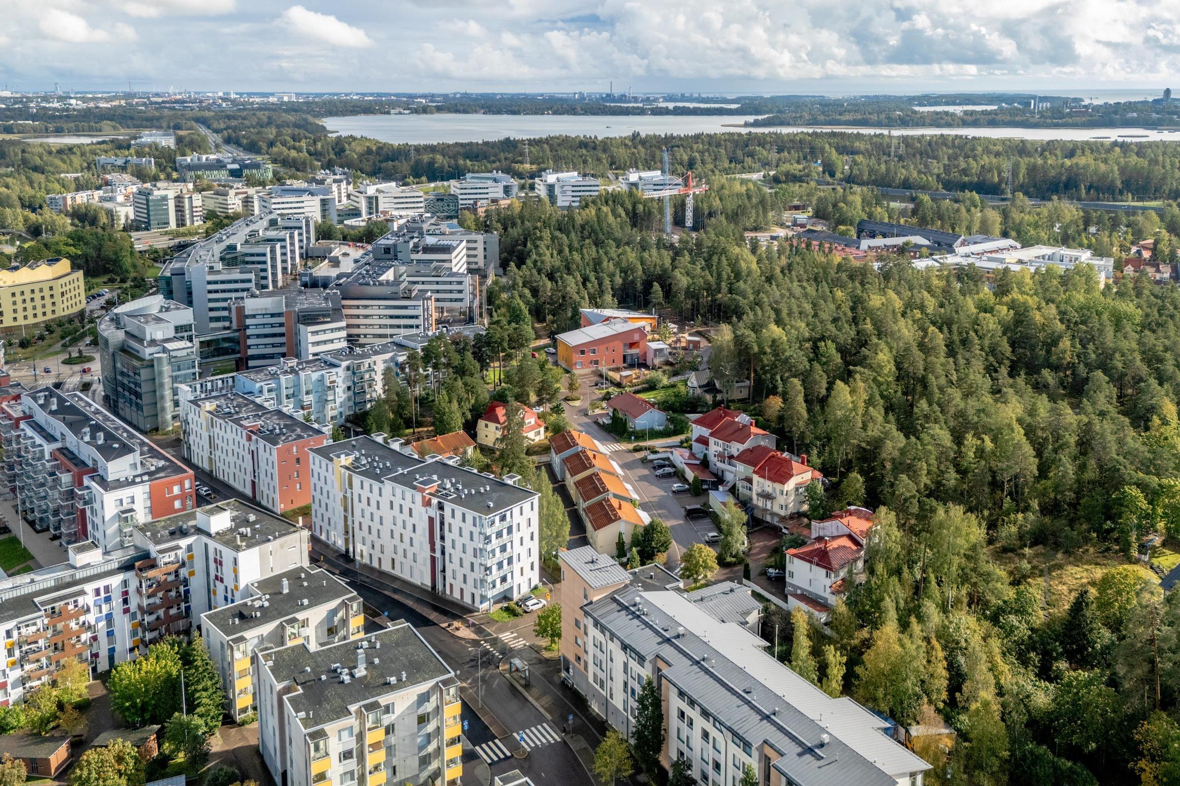 Kohdekuva 31