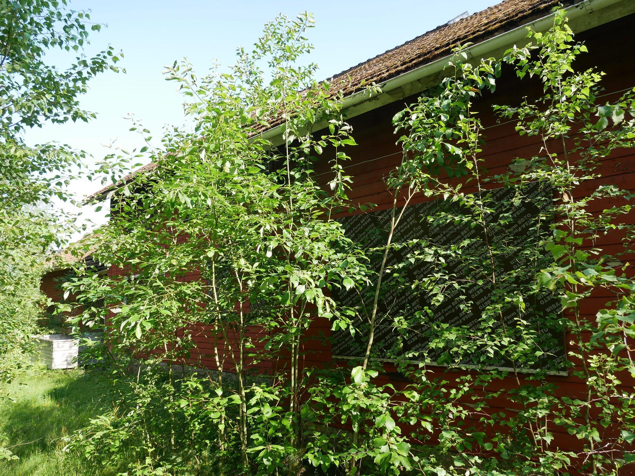 Kohdekuva 3