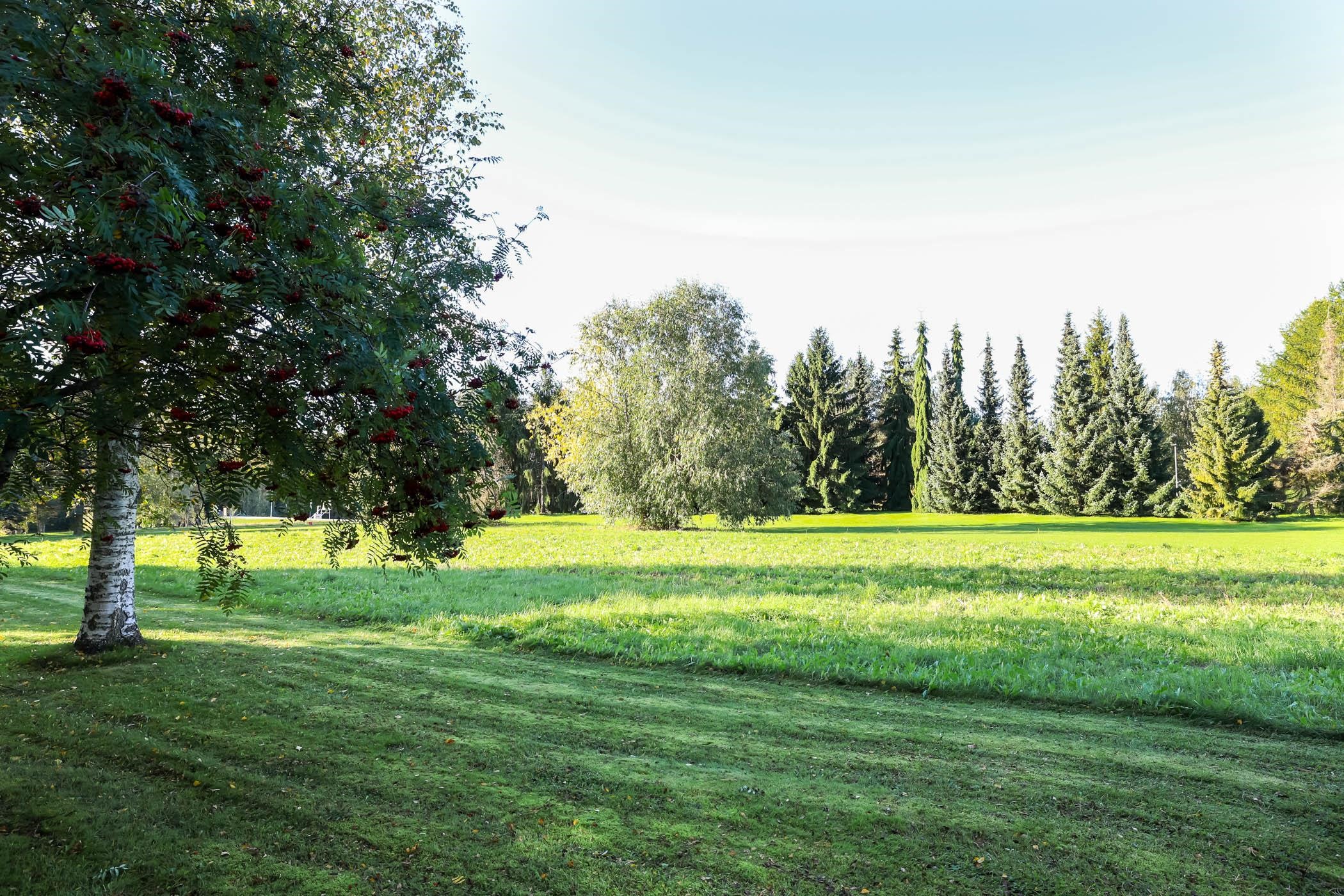 Kohdekuva 28