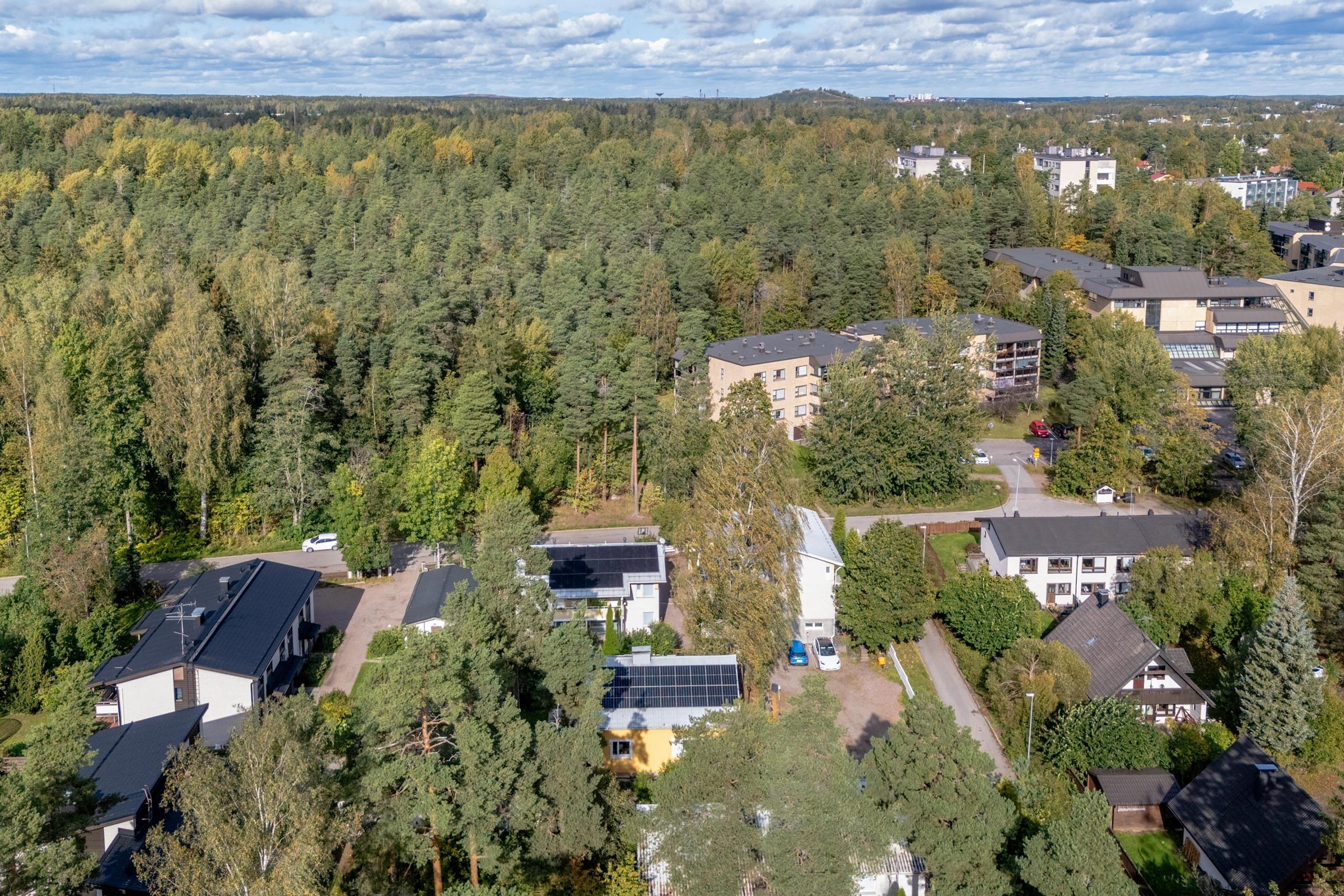 Kohdekuva 31