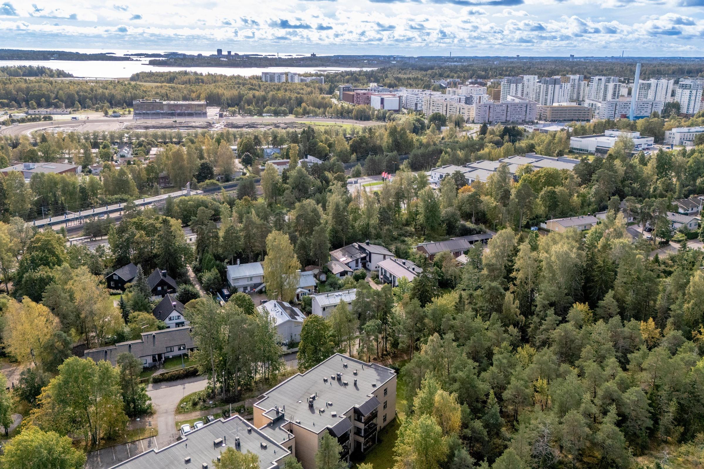 Kohdekuva 36