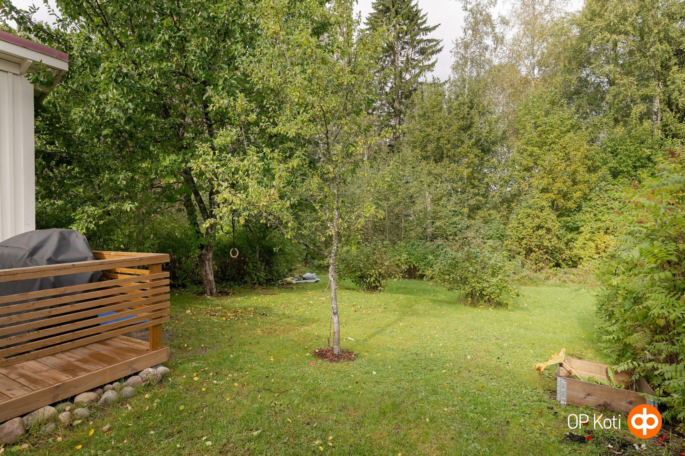 Kohdekuva 25
