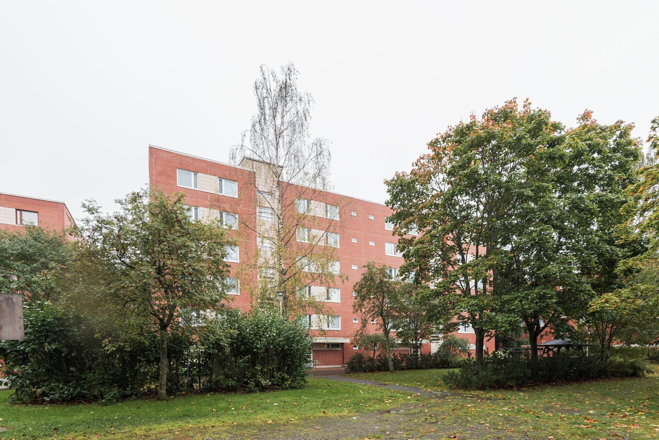 Kohdekuva 24