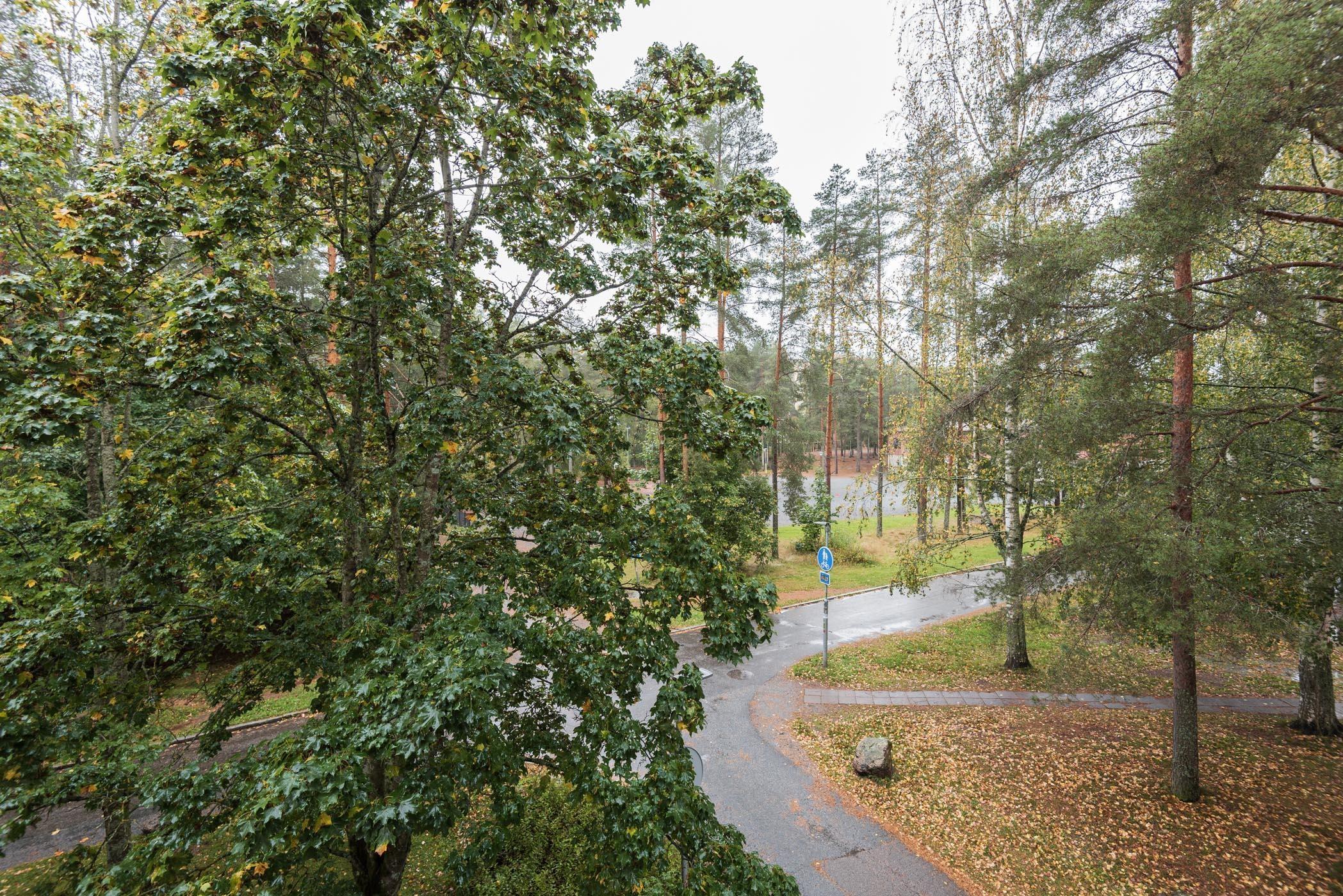 Kohdekuva 22