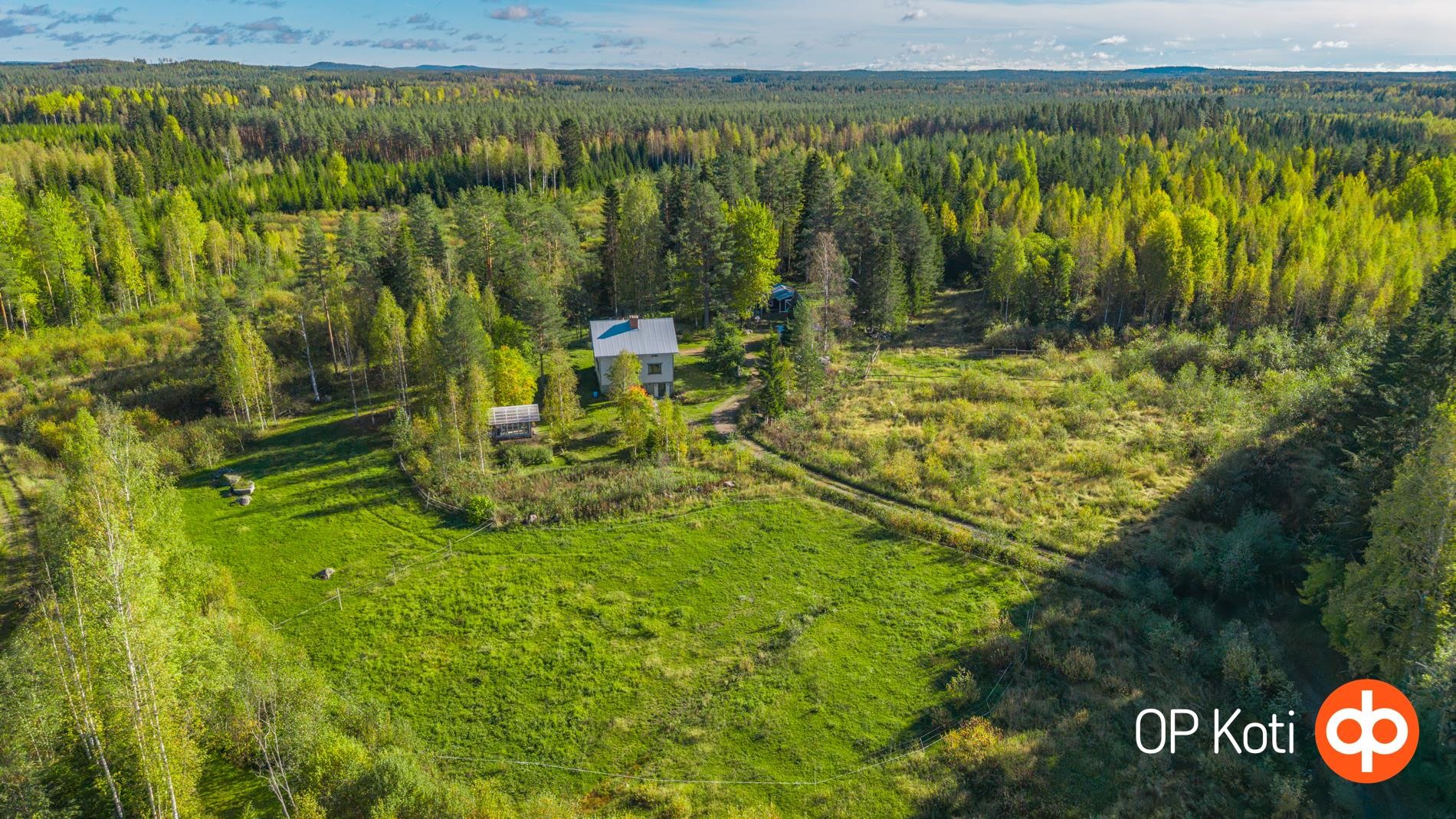 Kohdekuva 40
