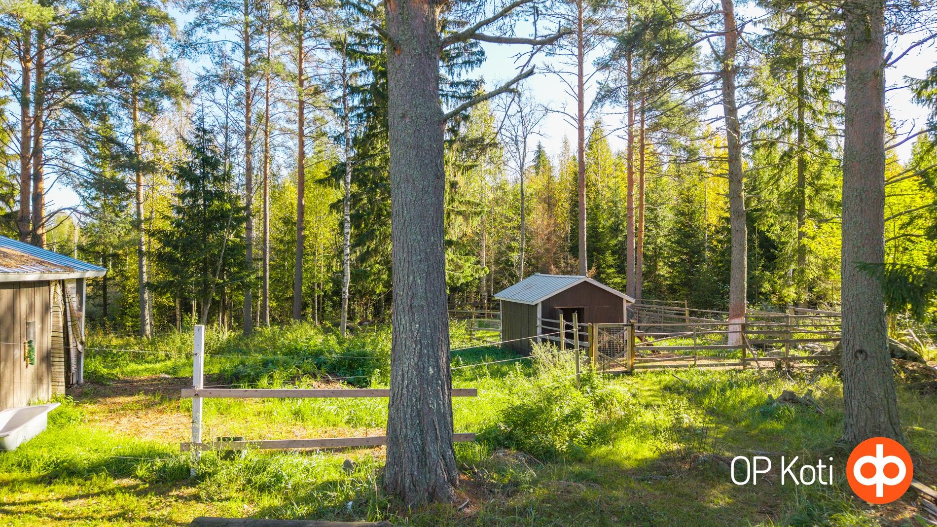Kohdekuva 32