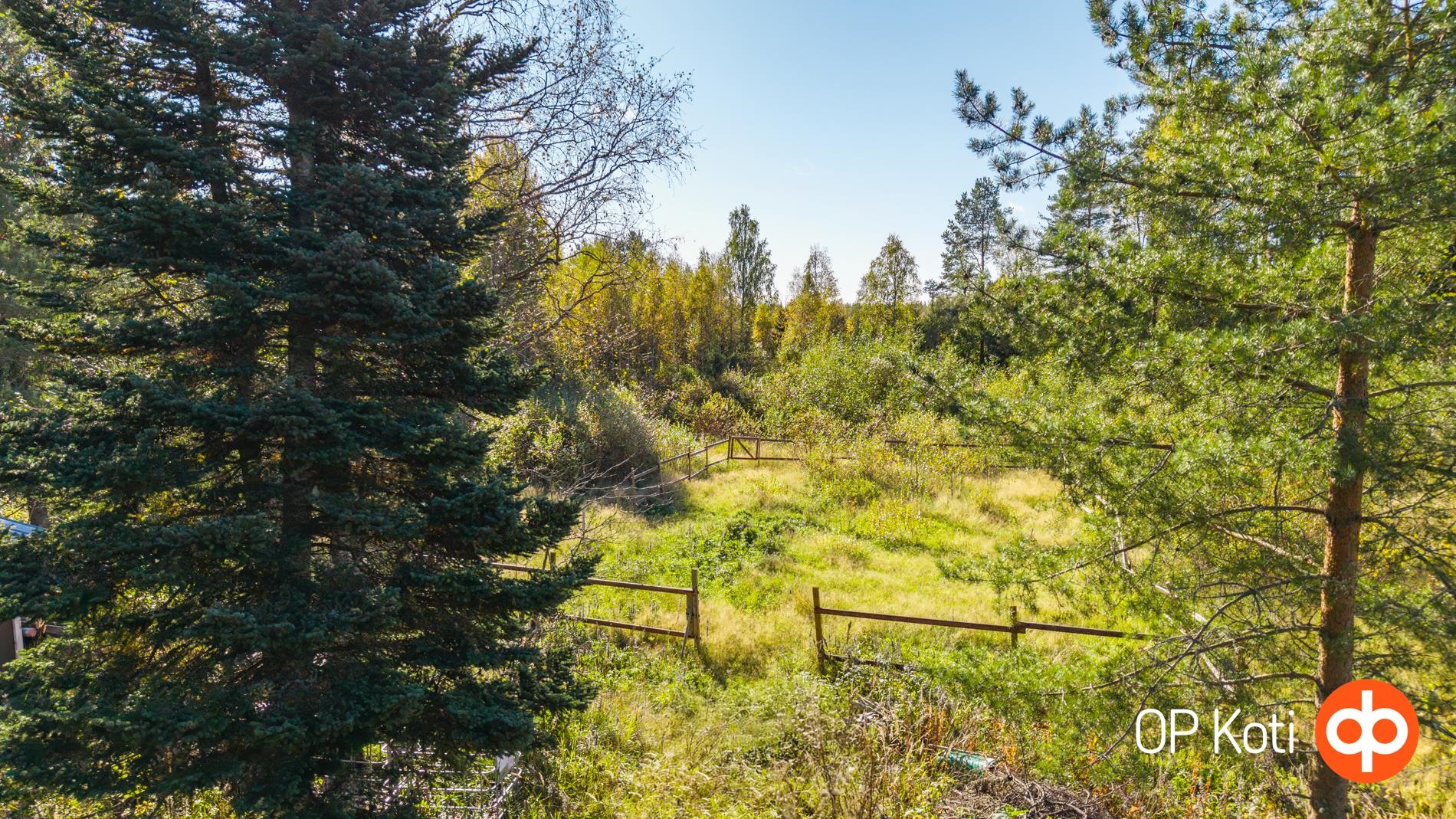Kohdekuva 33