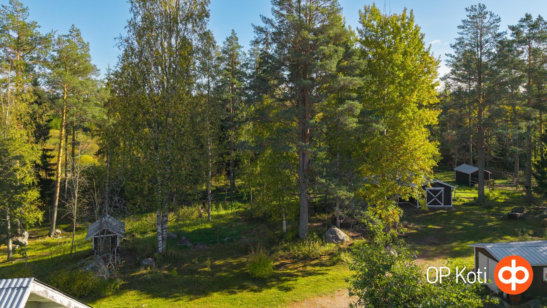 Kohdekuva 28