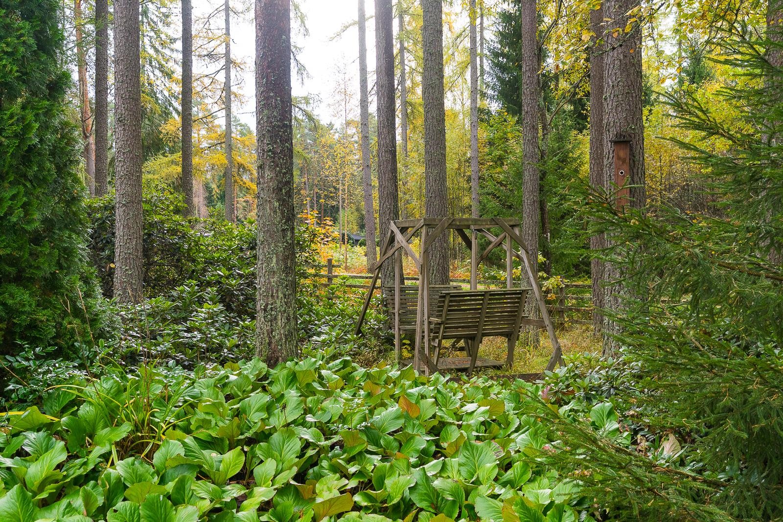 Kohdekuva 43