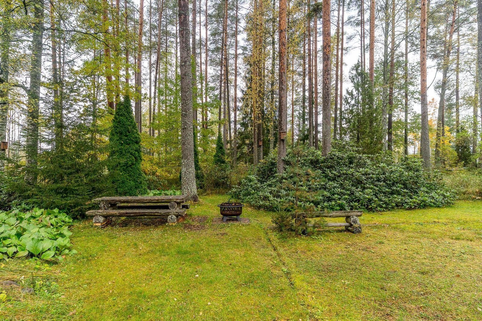 Kohdekuva 41