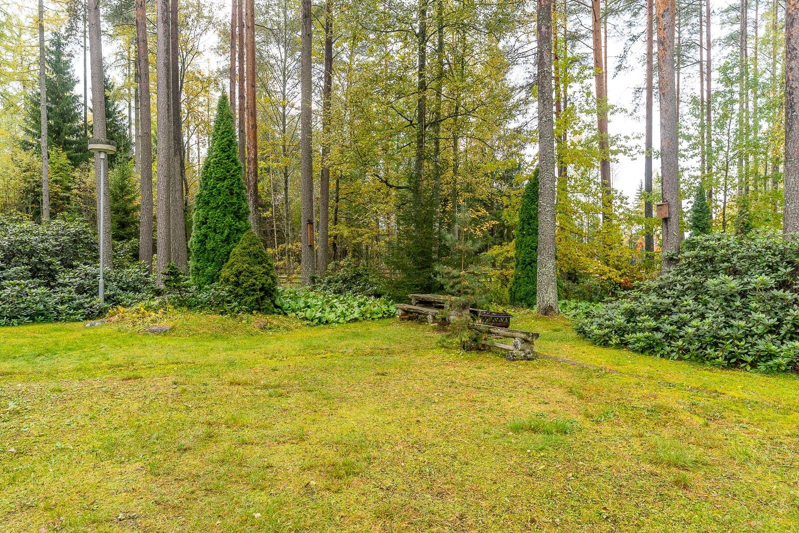 Kohdekuva 40