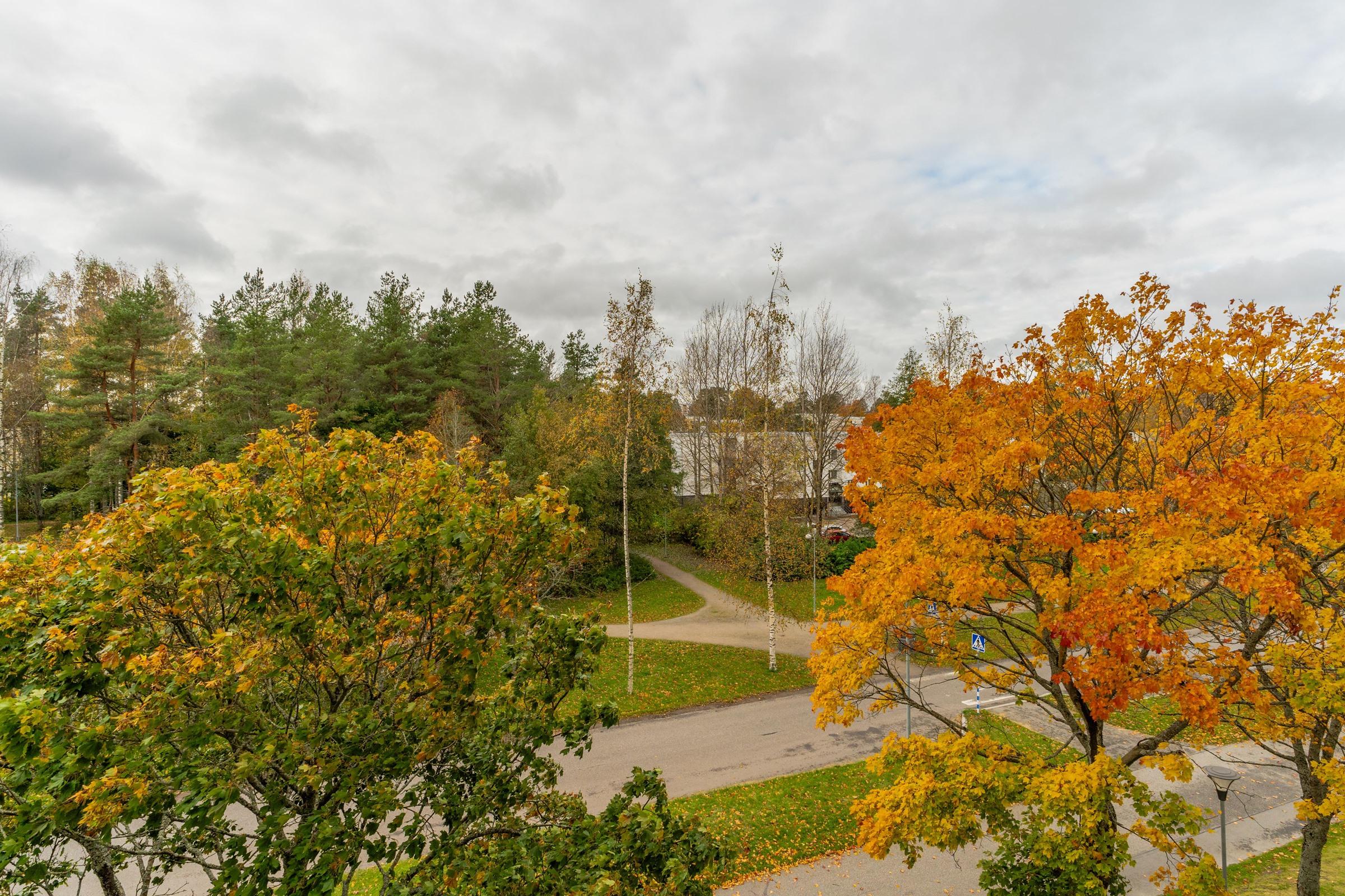 Kohdekuva 14