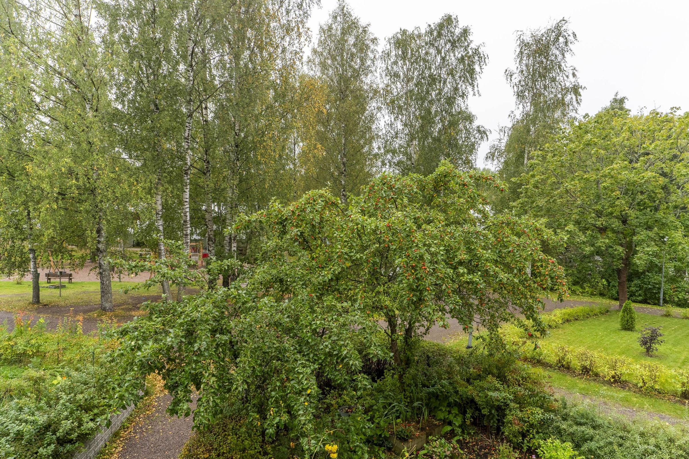 Kohdekuva 16