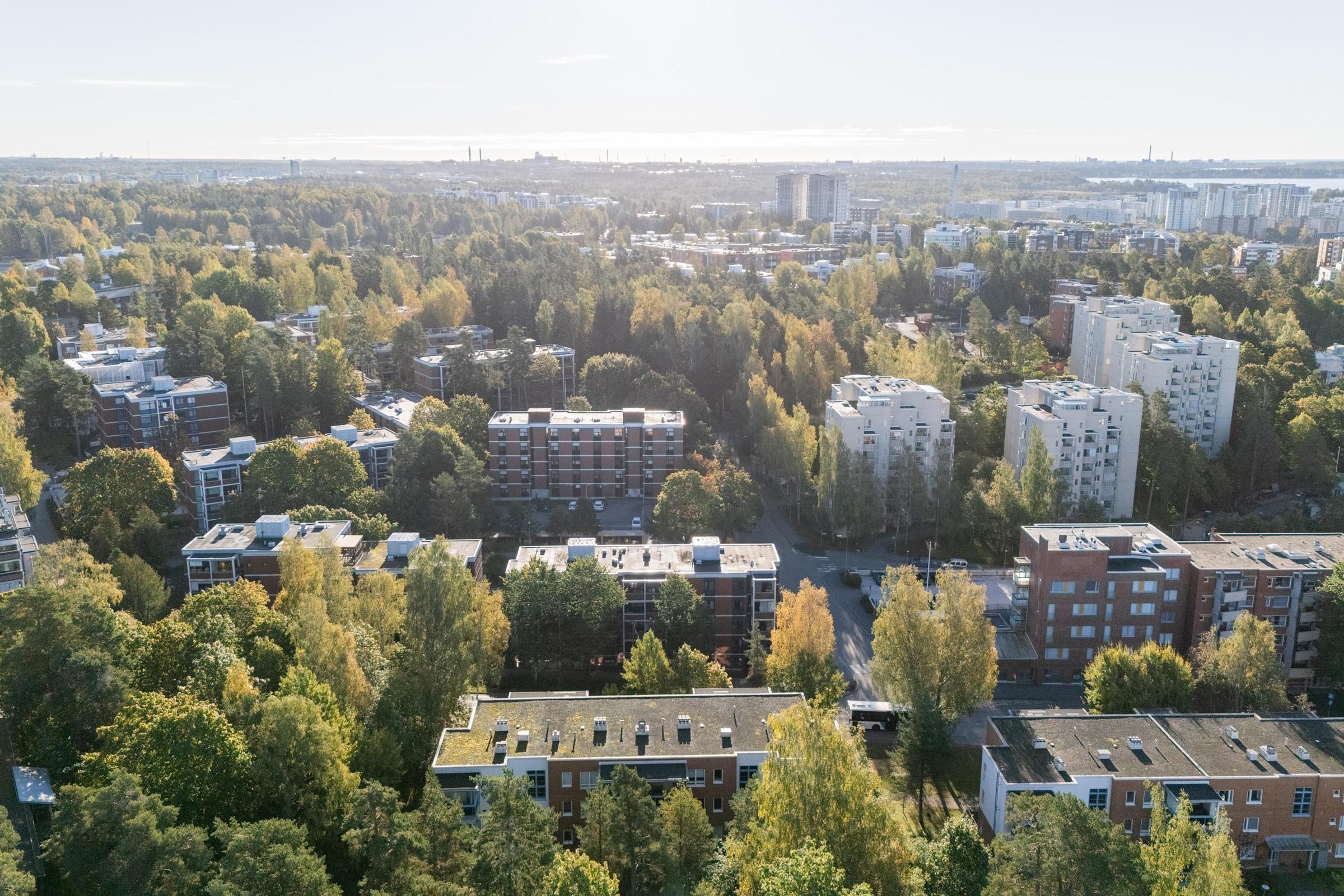 Kohdekuva 19