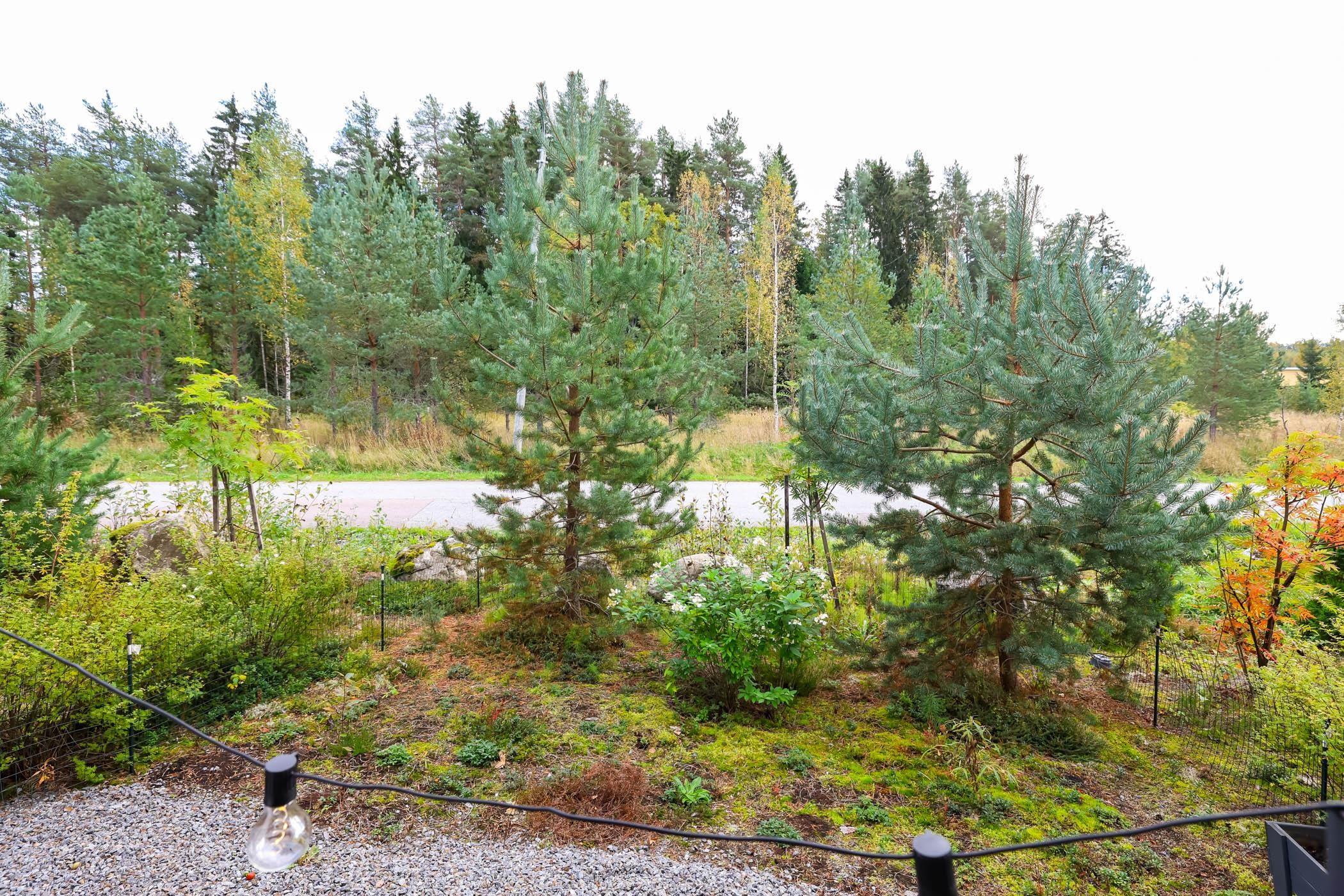 Kohdekuva 23