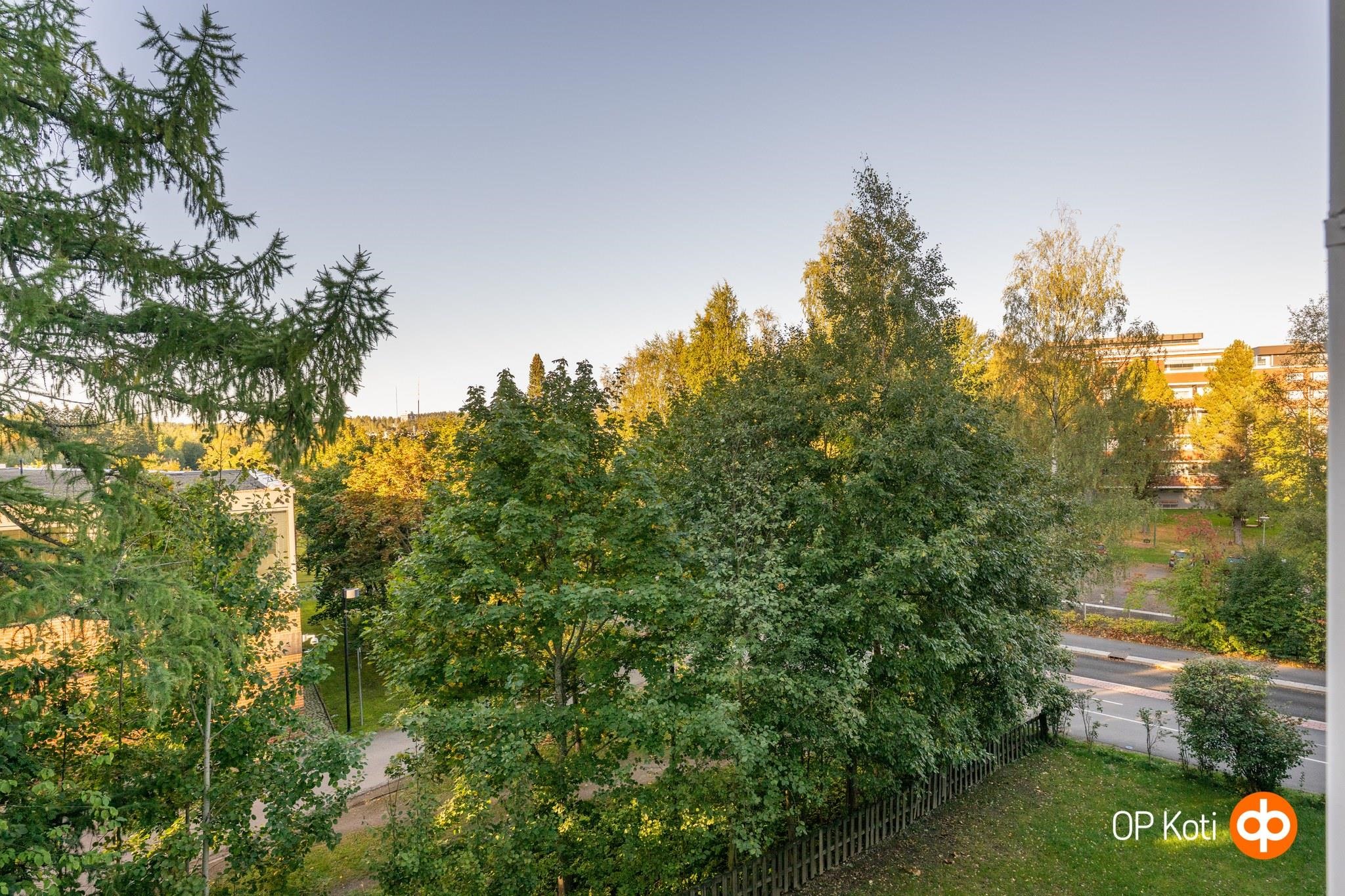 Kohdekuva 23