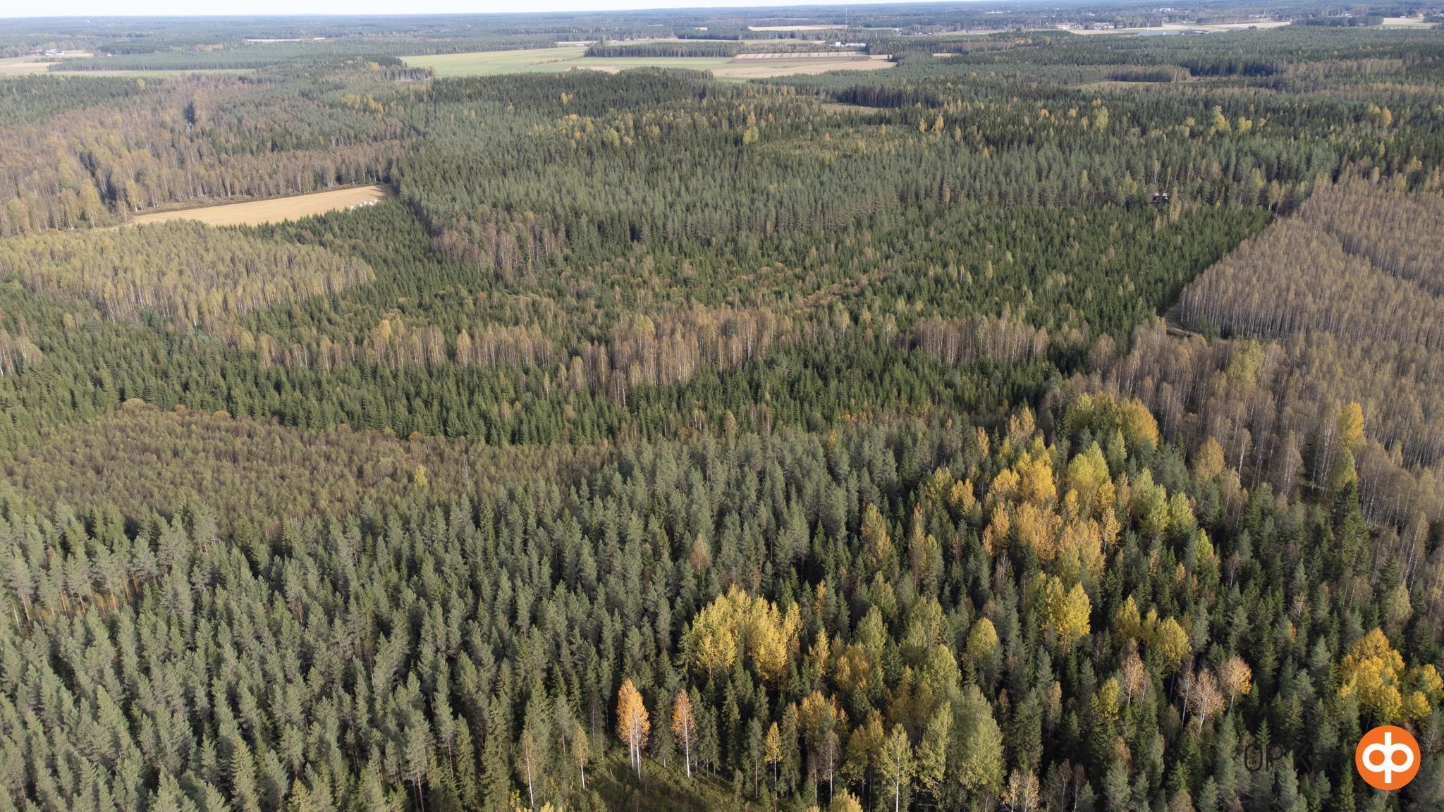 Kohdekuva 4