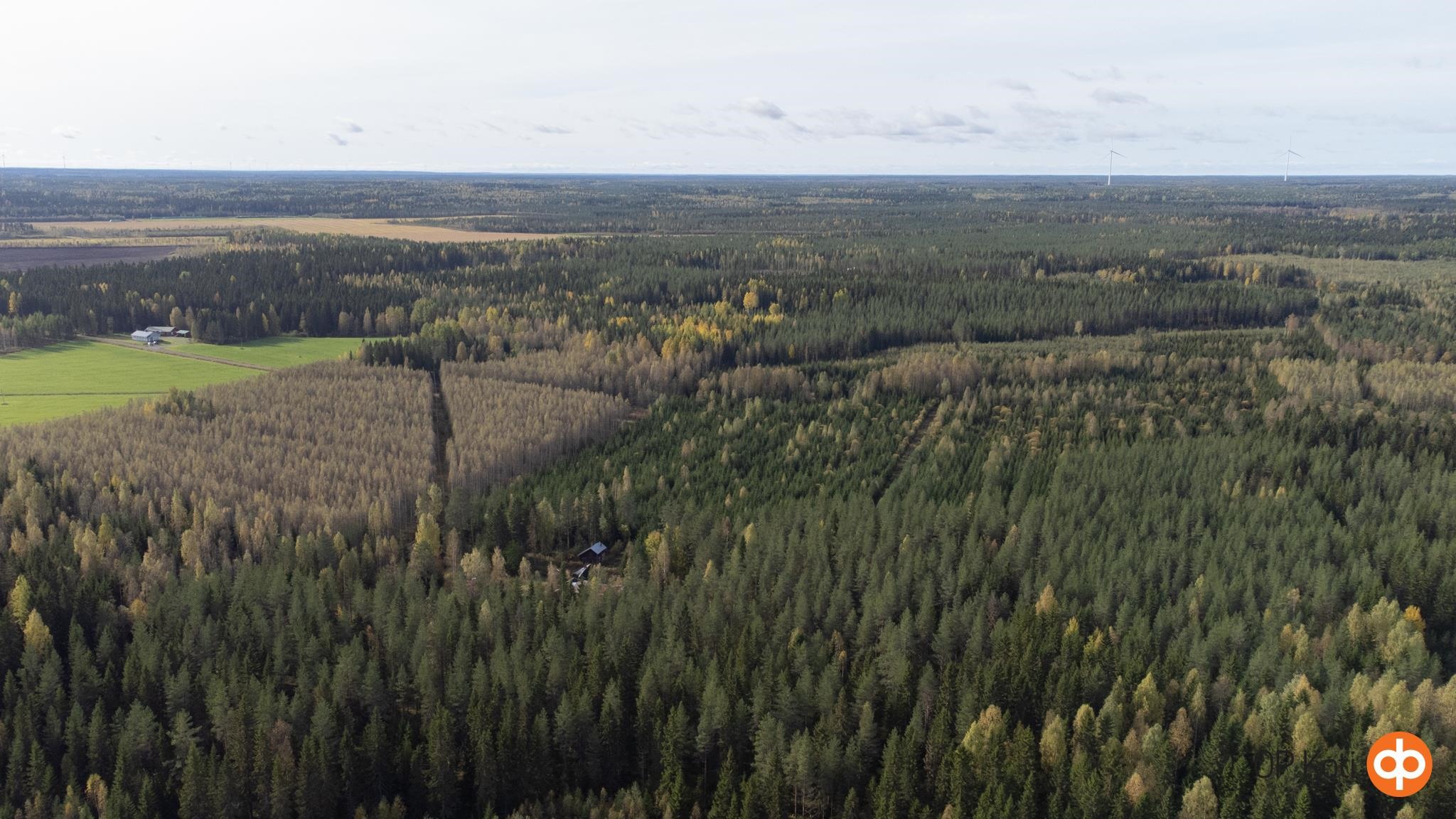 Kohdekuva 2