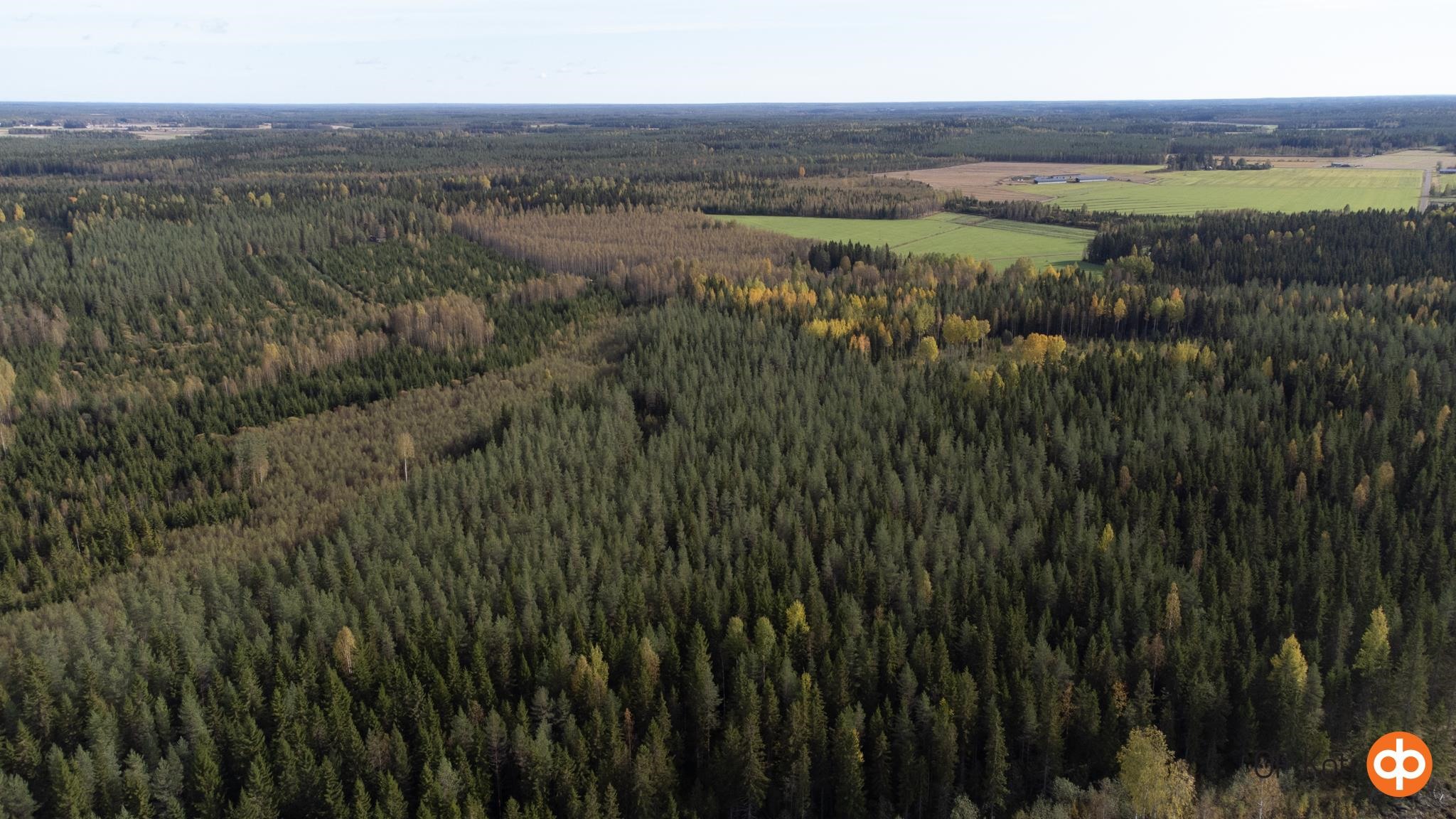 Kohdekuva 8