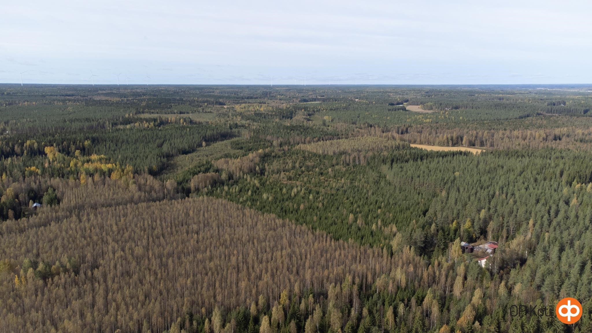 Kohdekuva 6