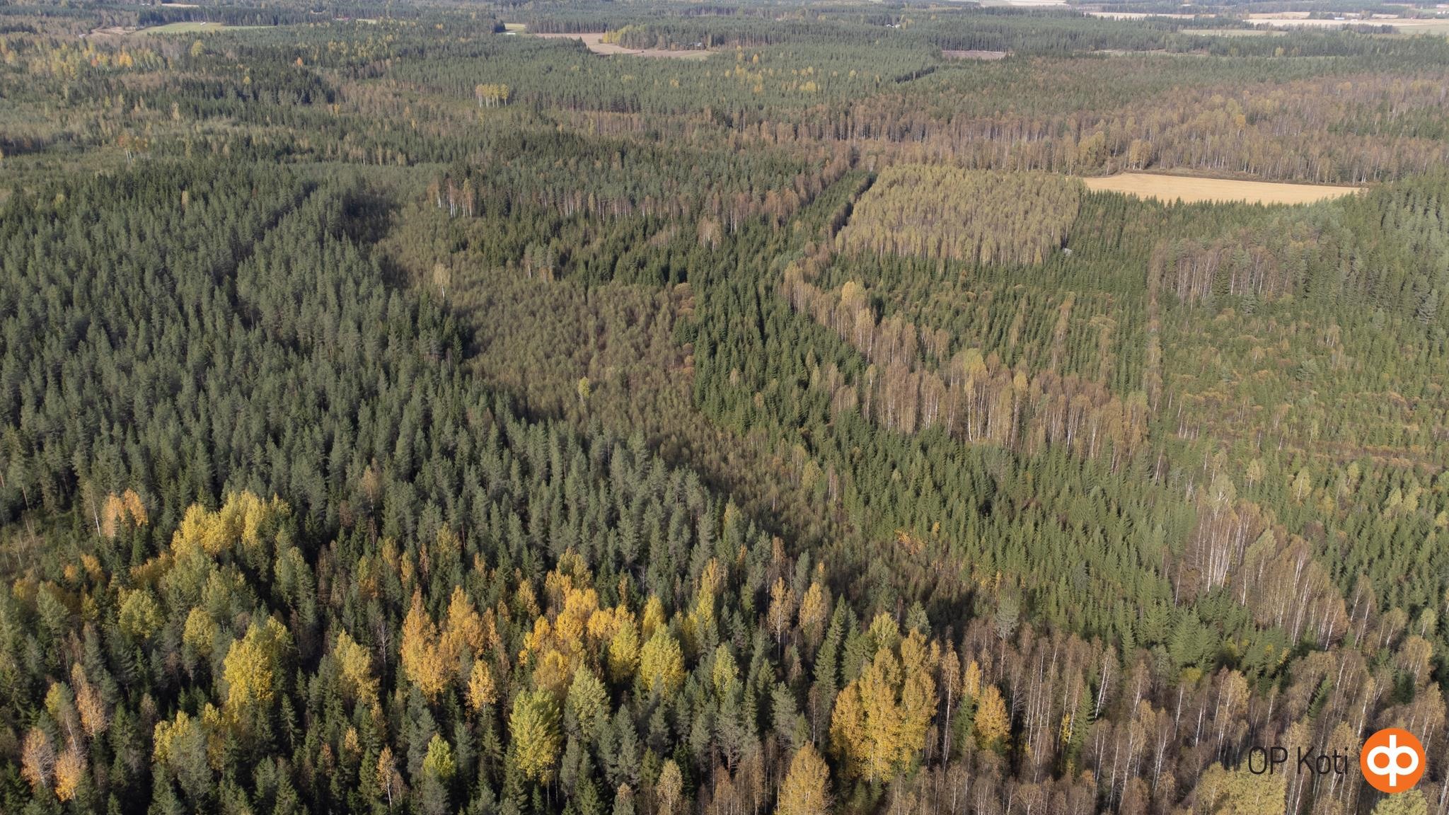Kohdekuva 5