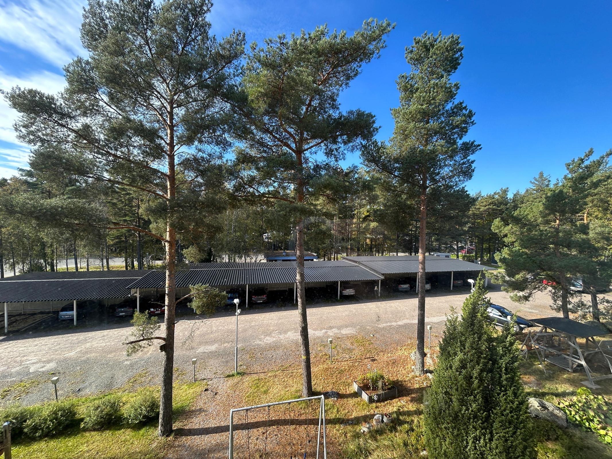 Kohdekuva 12