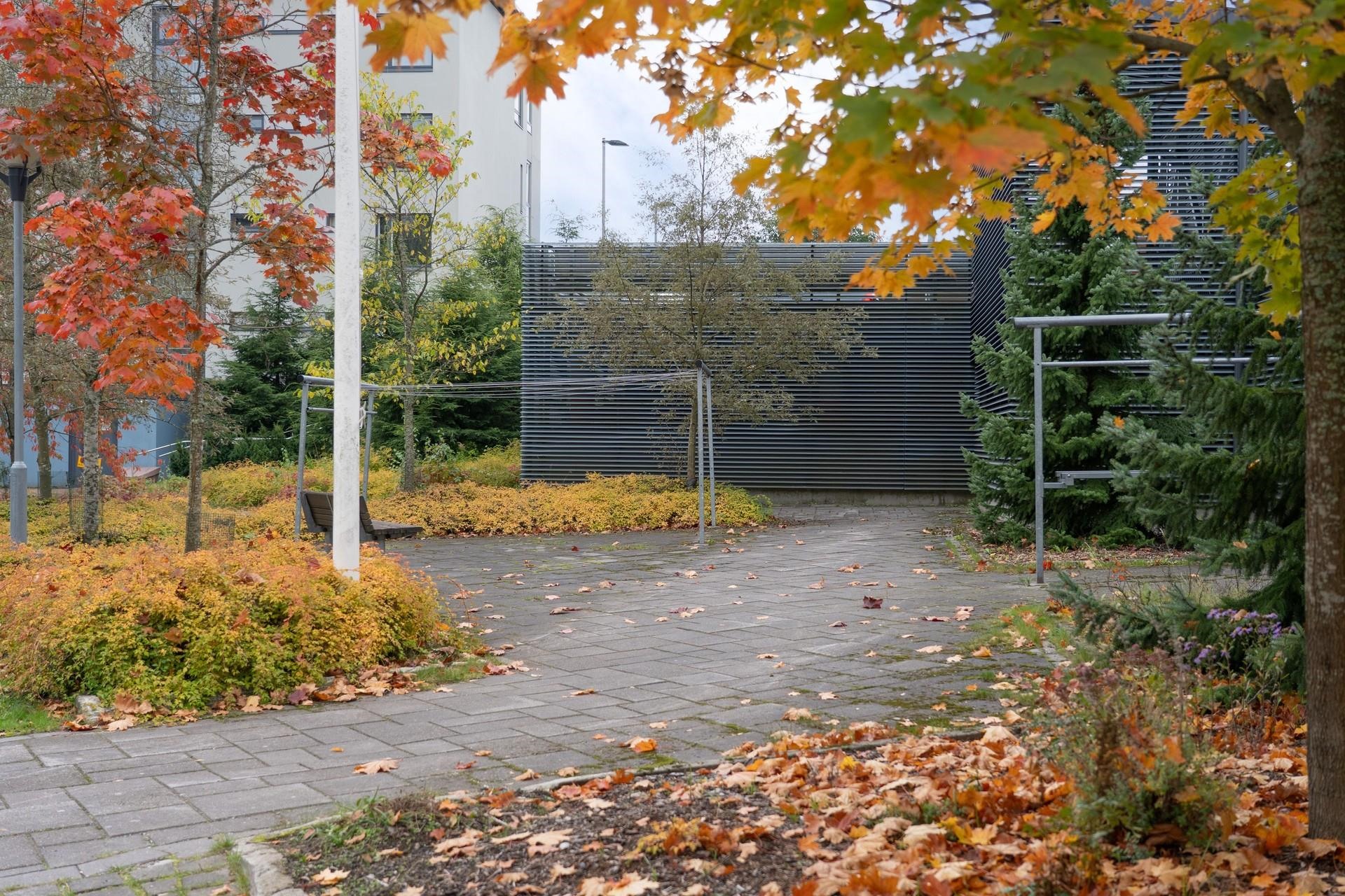 Kohdekuva 17