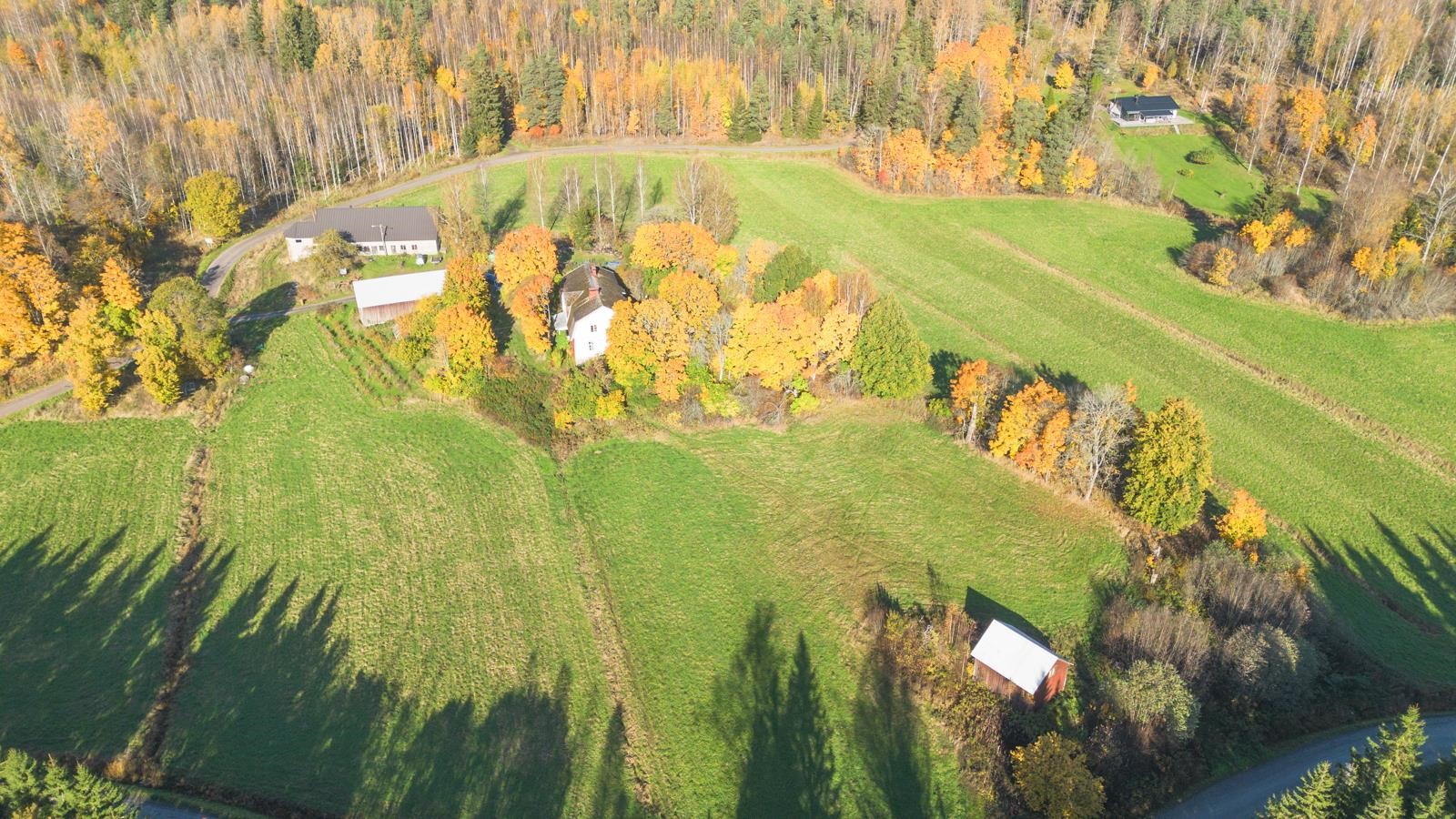 Kohdekuva 61