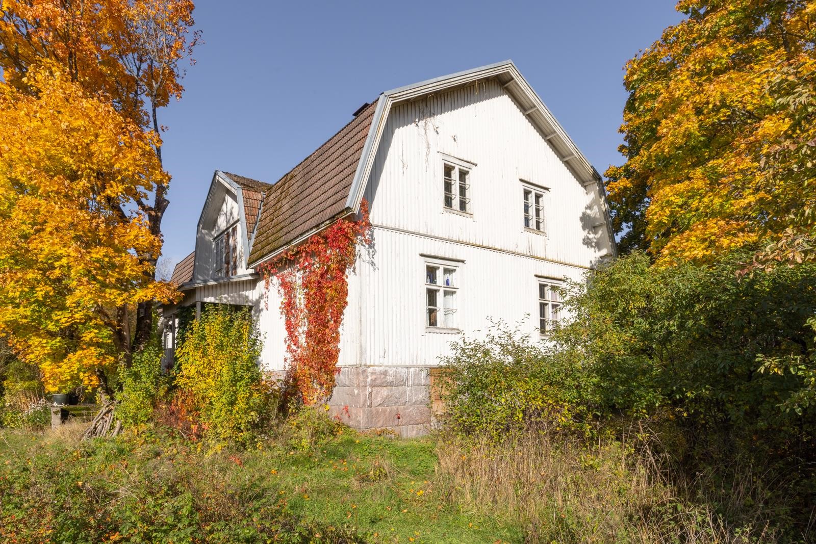 Kohdekuva 48