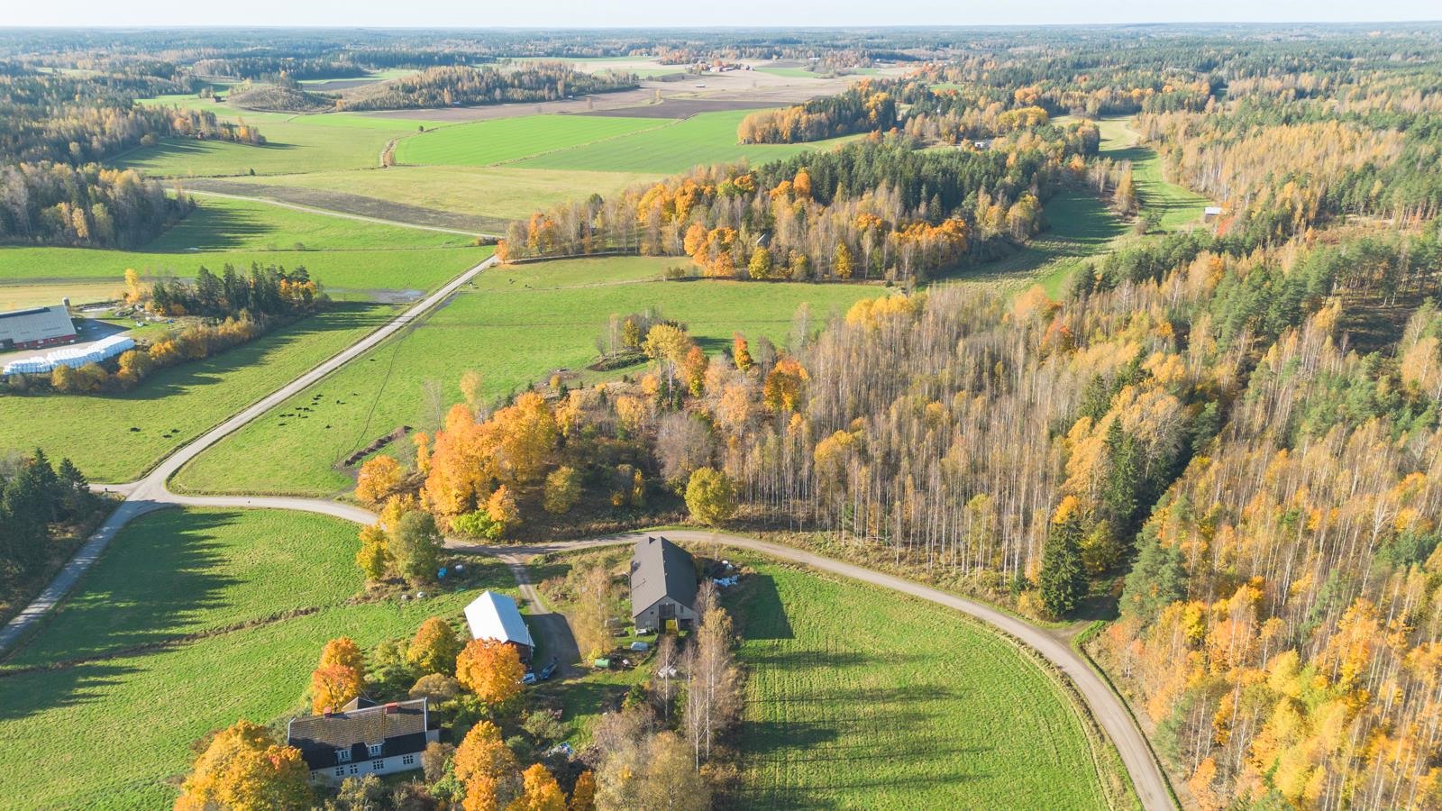 Kohdekuva 65