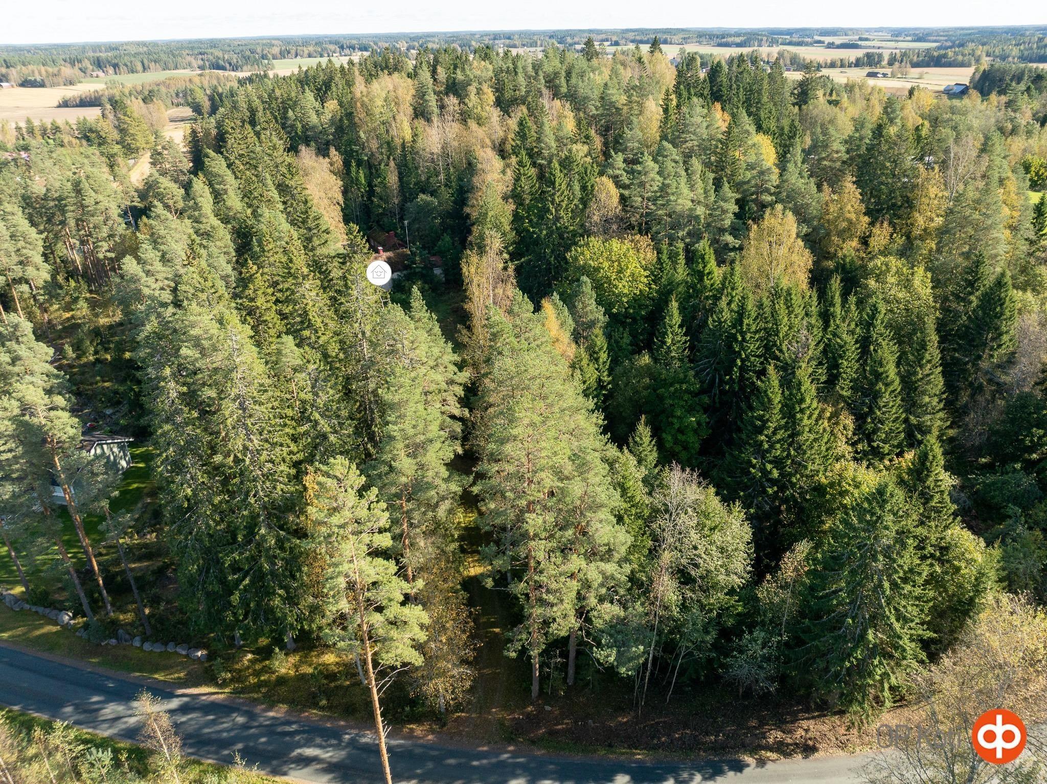Kohdekuva 24