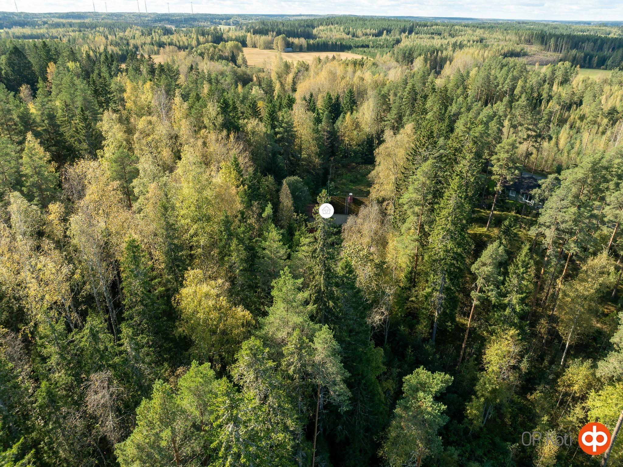 Kohdekuva 26