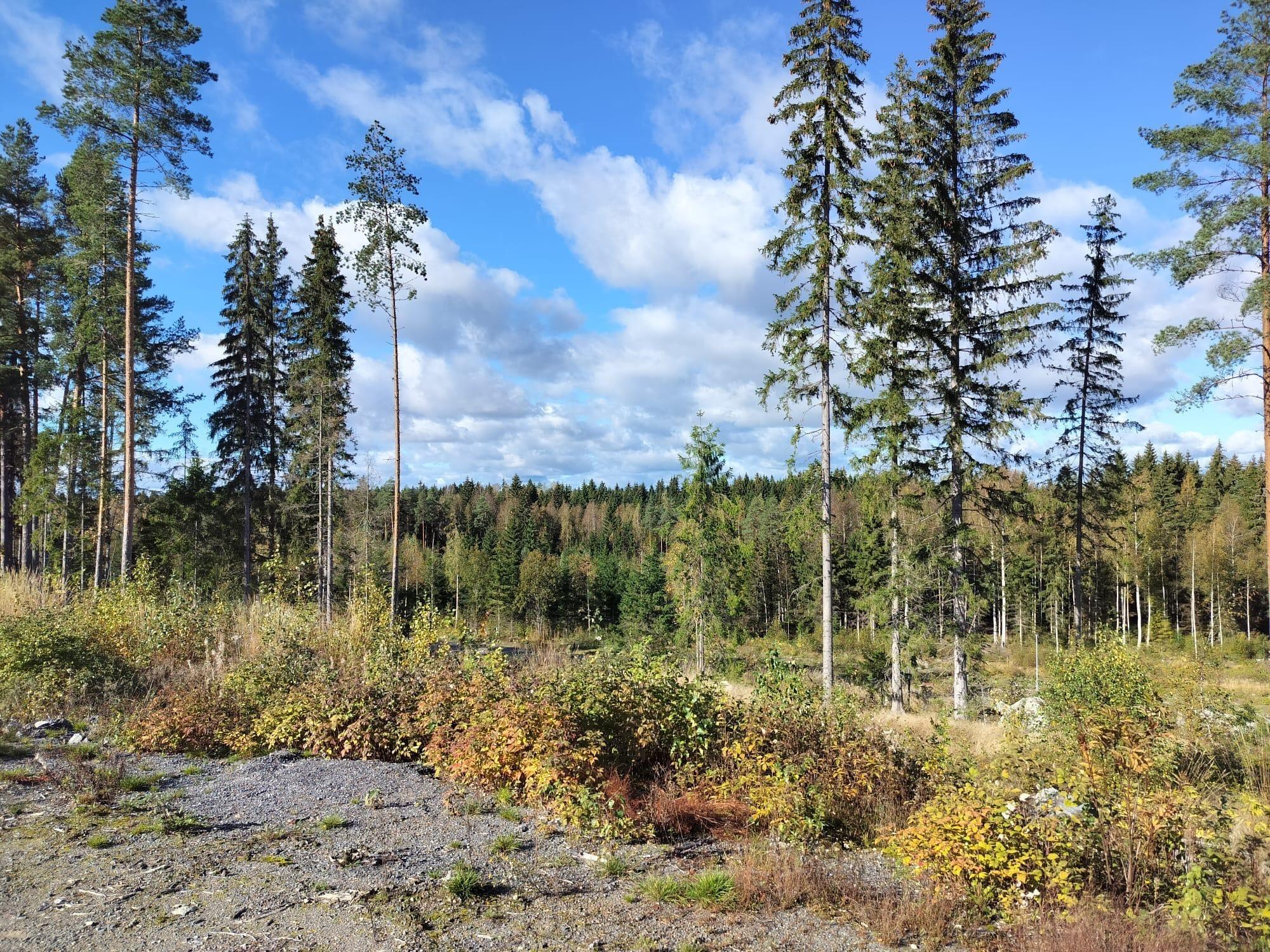 Kohdekuva 2