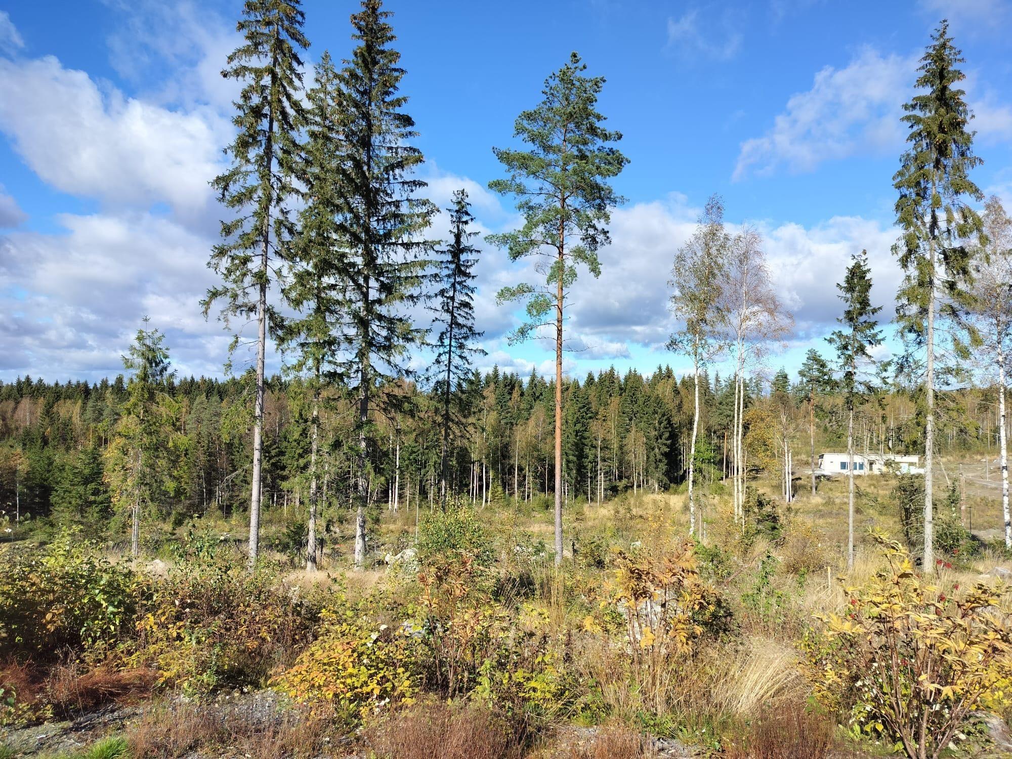 Kohdekuva 4